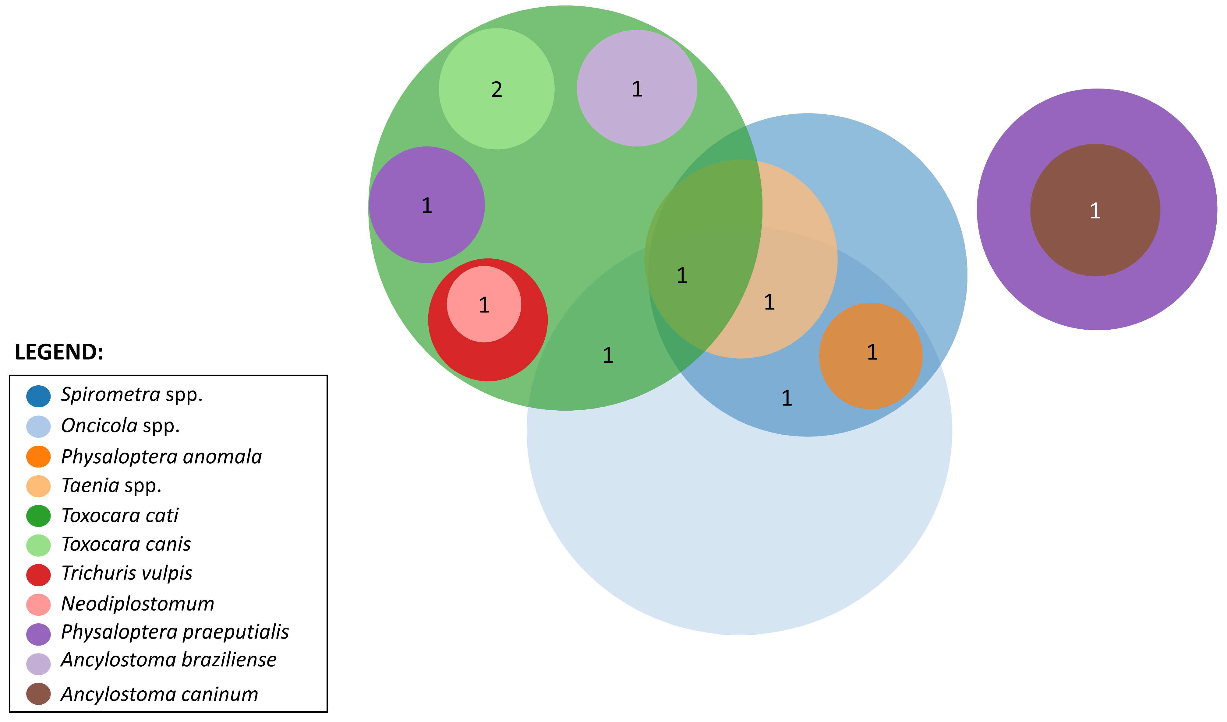 Animals 14 01622 g005