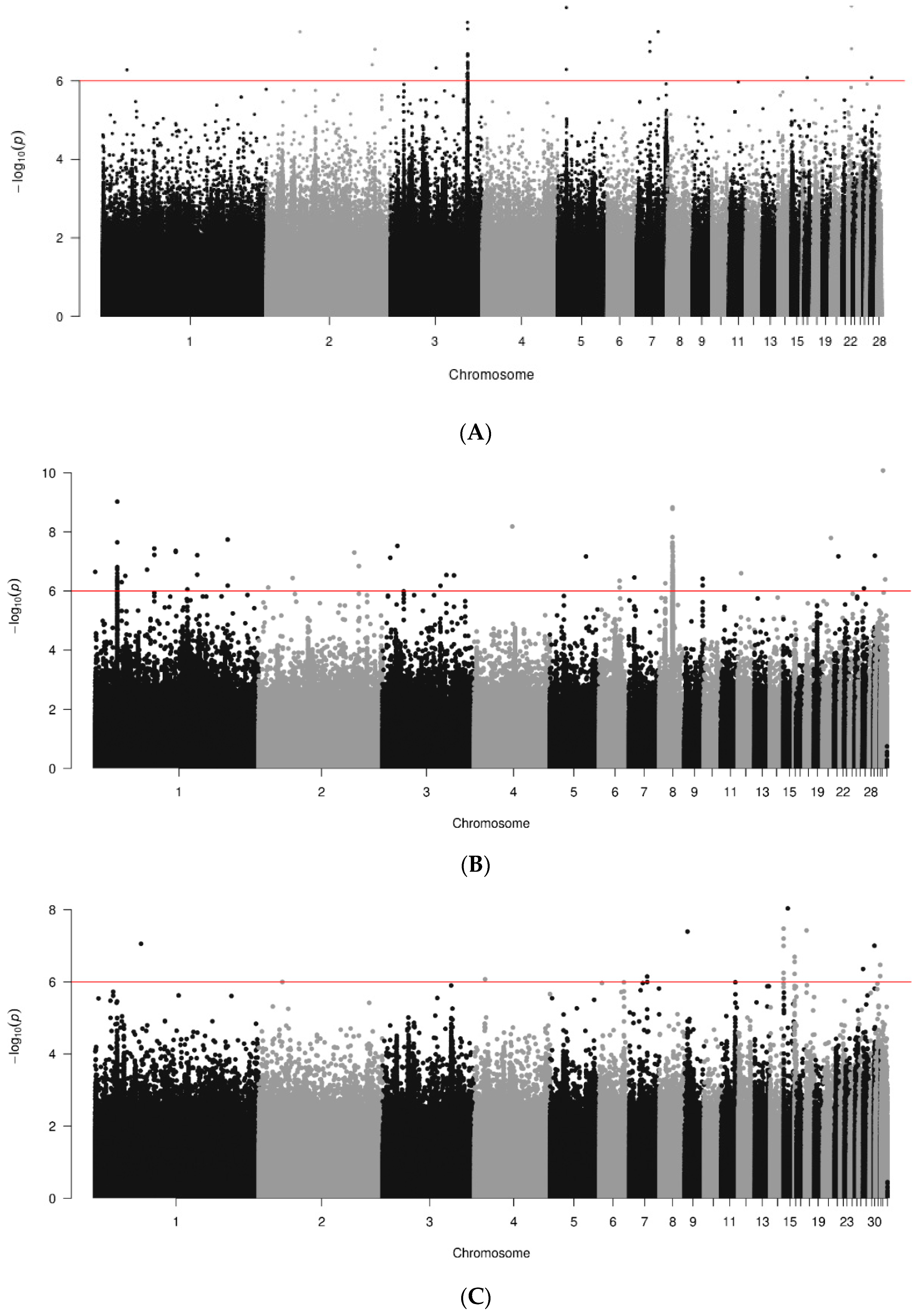 Animals 14 01623 g001