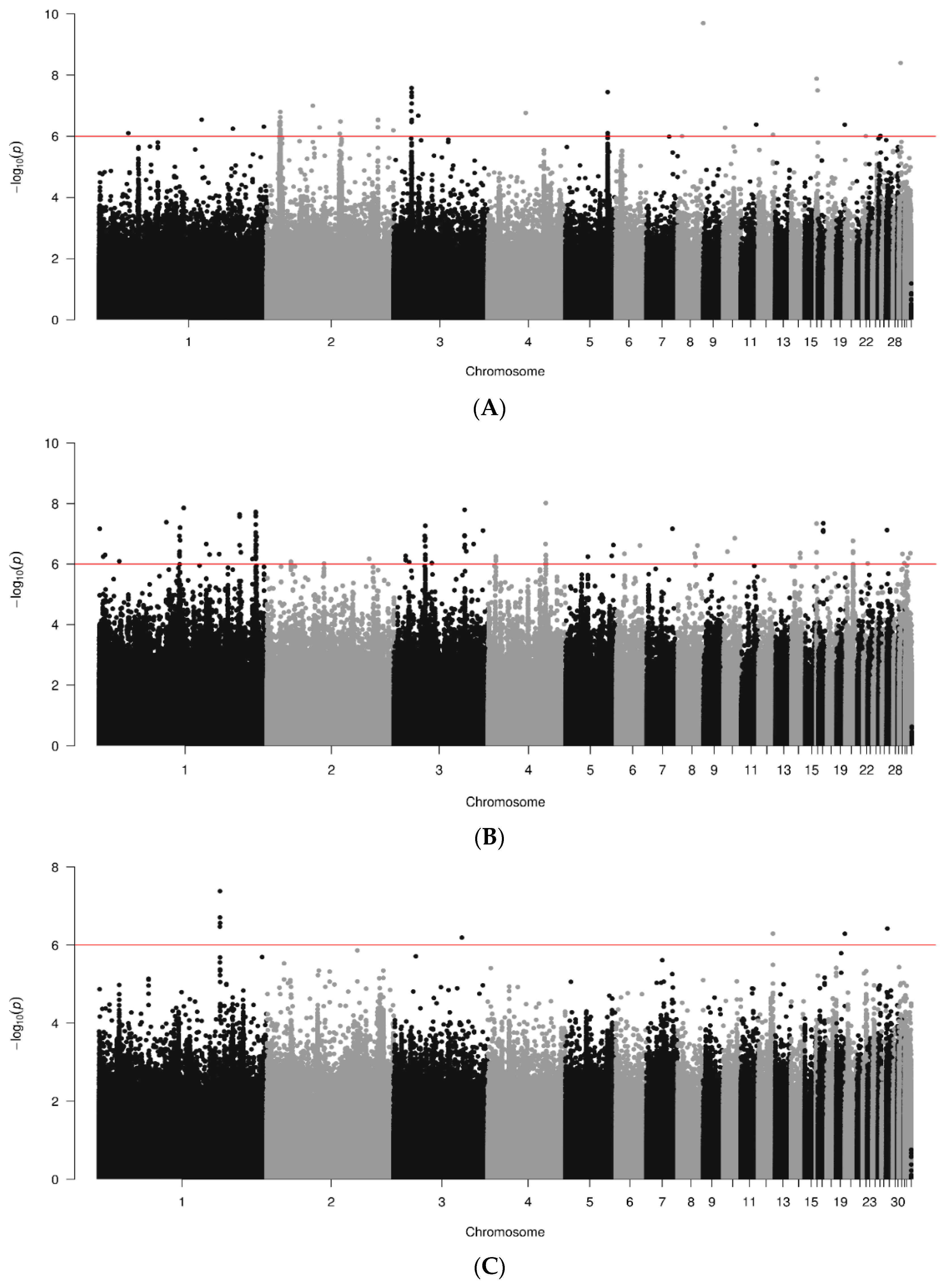 Animals 14 01623 g002