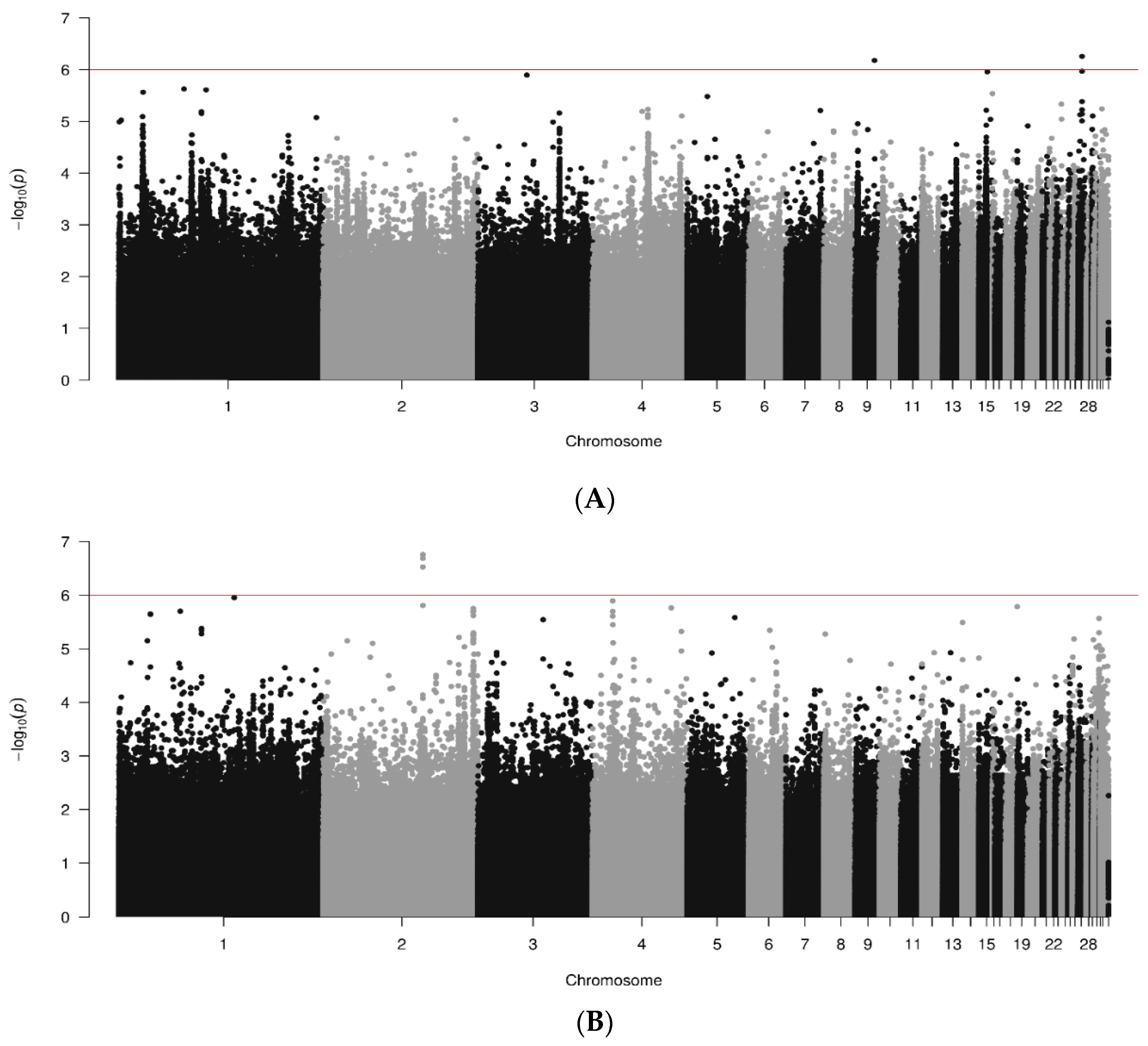 Animals 14 01623 g004a