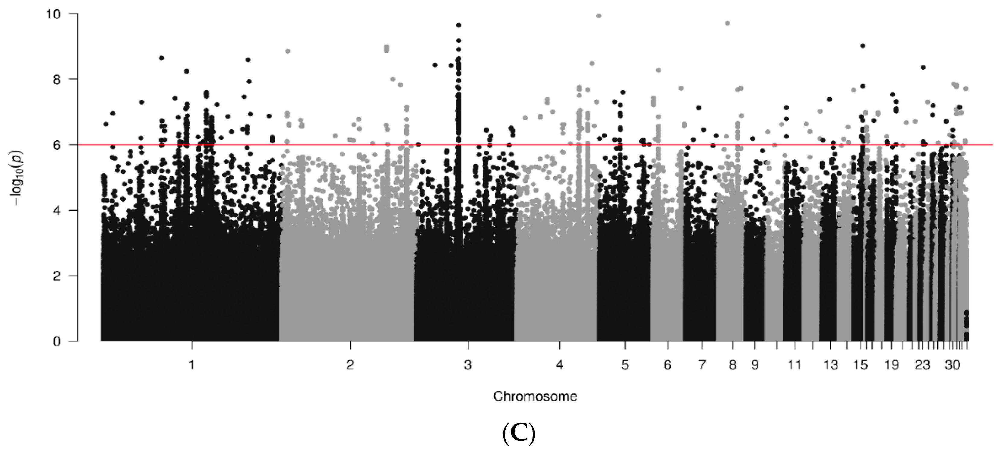 Animals 14 01623 g005b