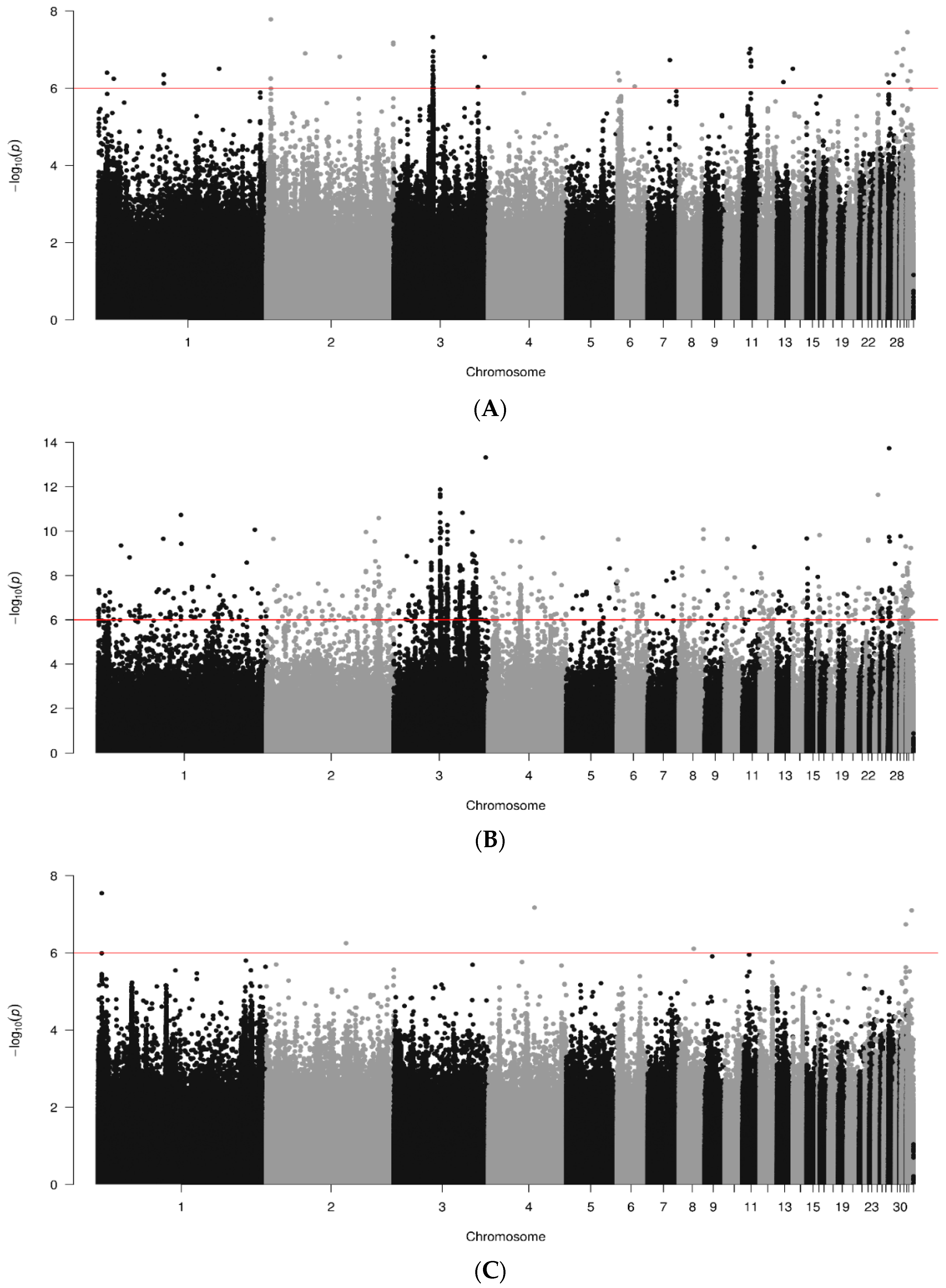 Animals 14 01623 g006