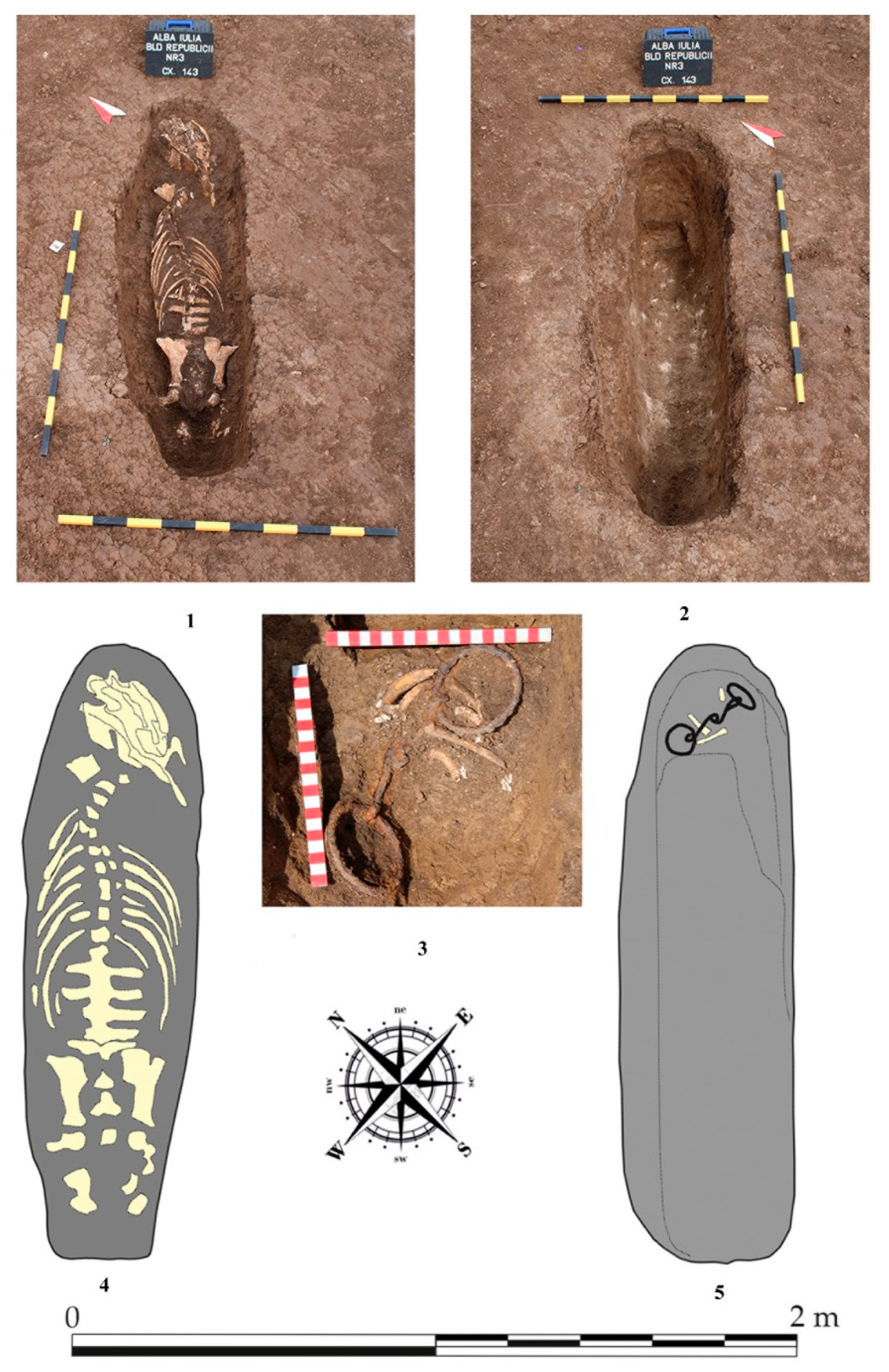 Animals 14 01624 g001 Animals 14 01624 g001