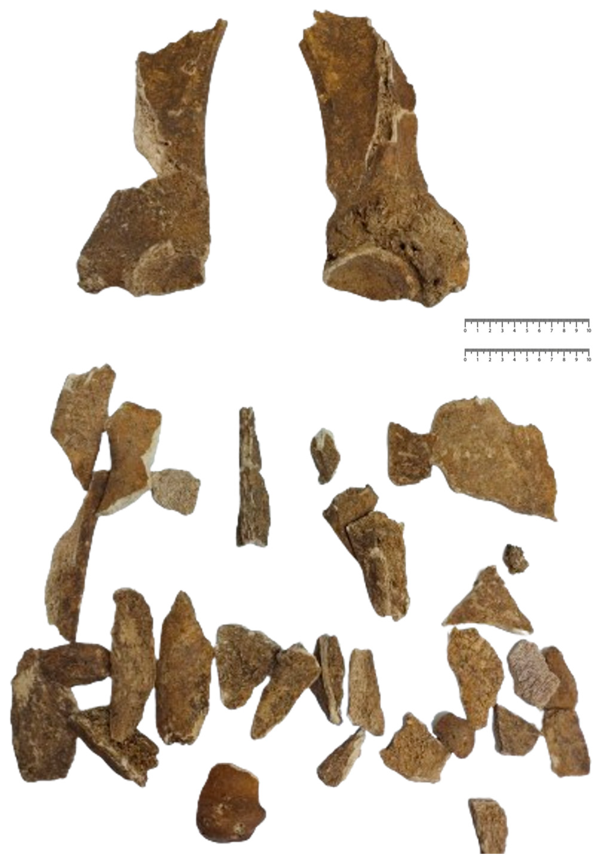 Animals 14 01624 g002 Animals 14 01624 g002