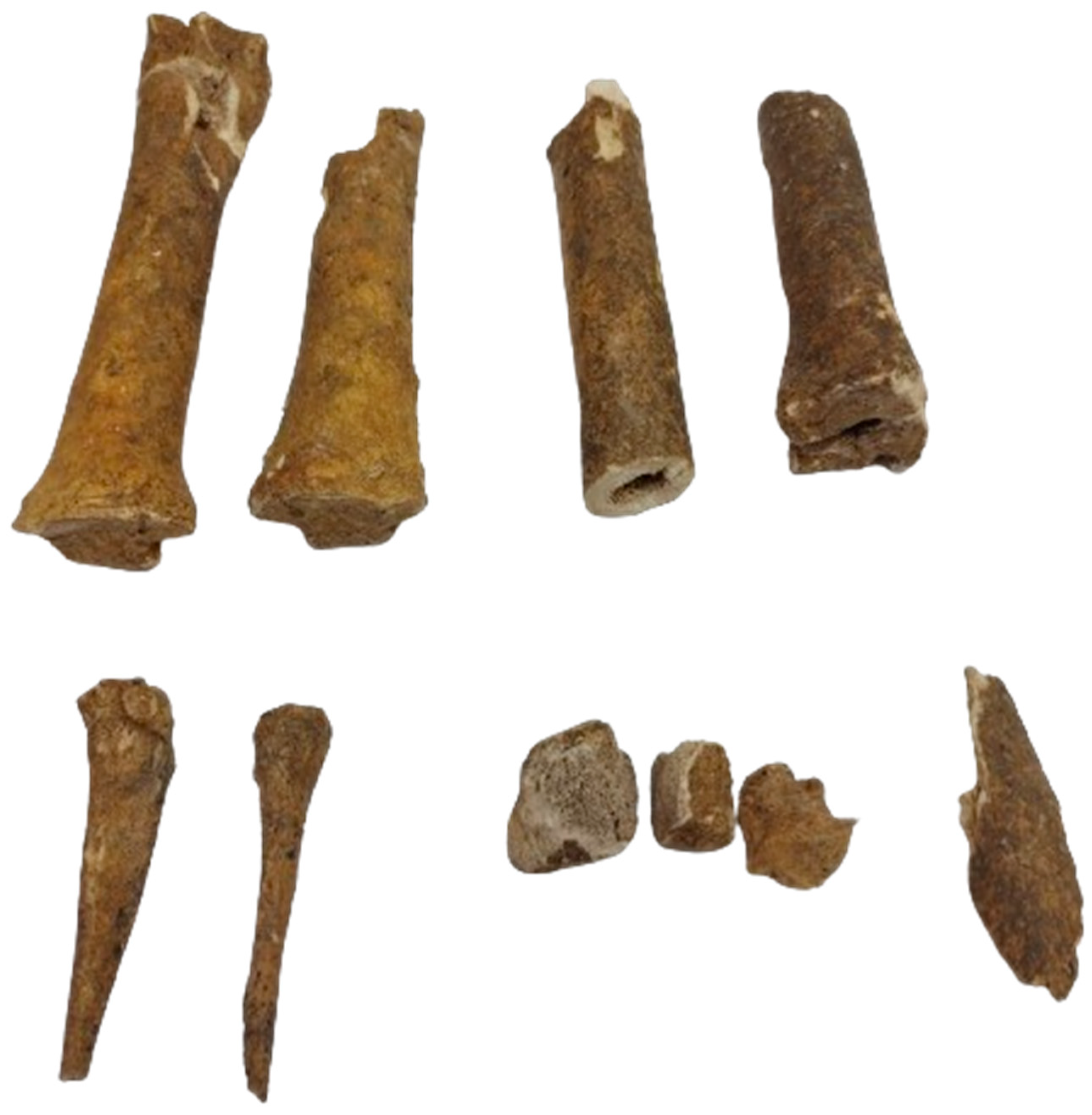 Animals 14 01624 g004 Animals 14 01624 g004