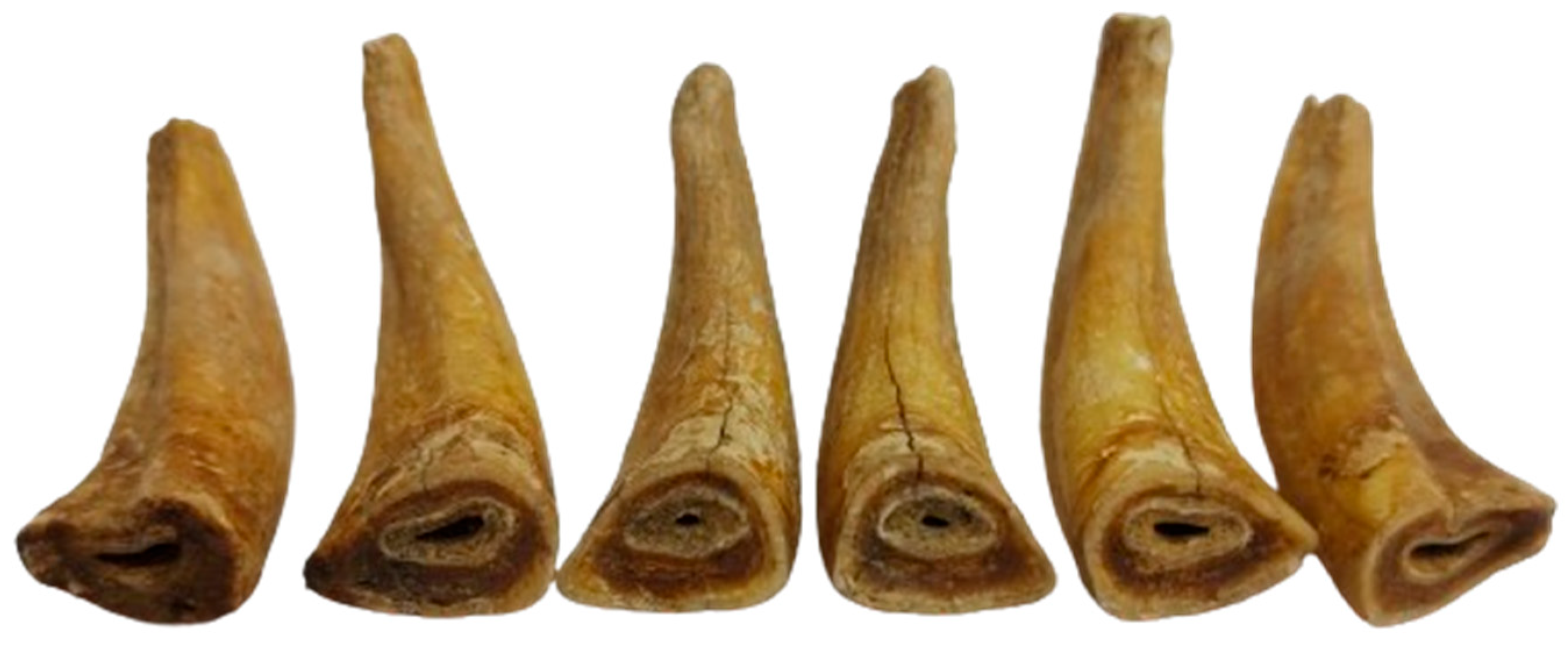 Animals 14 01624 g008 Animals 14 01624 g008