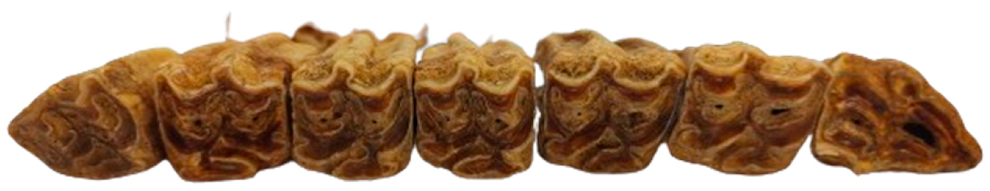 Animals 14 01624 g011 Animals 14 01624 g011