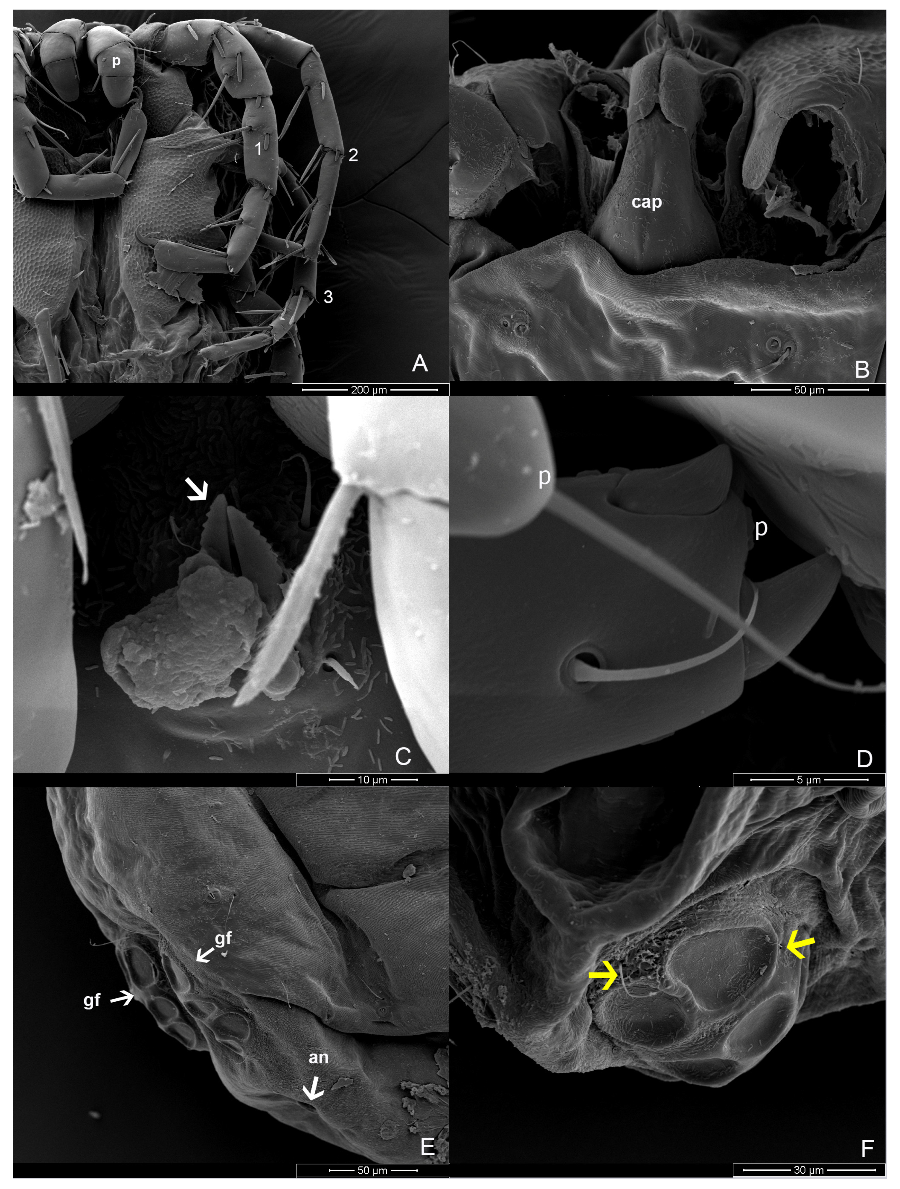 Animals 14 01627 g005