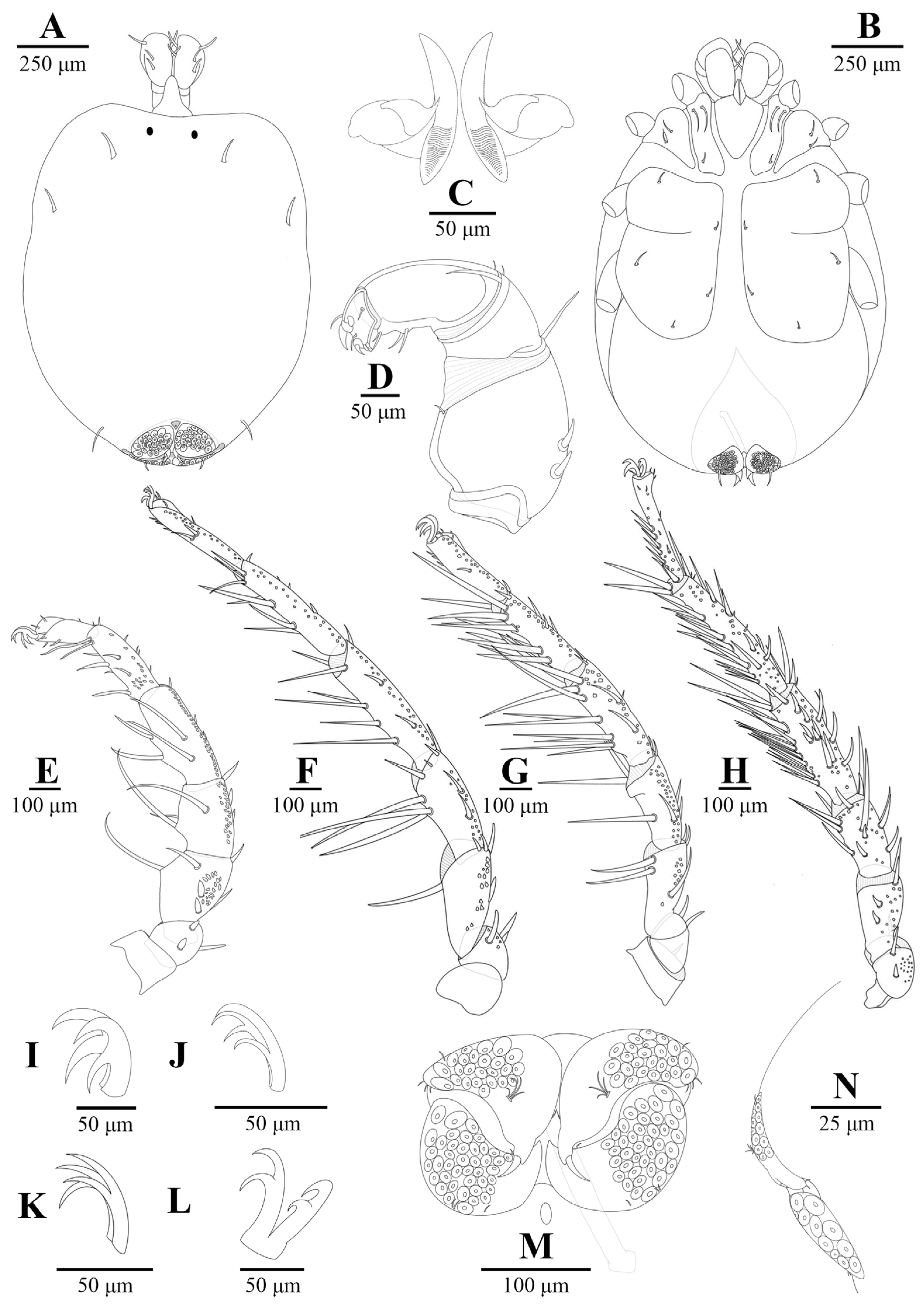 Animals 14 01627 g007