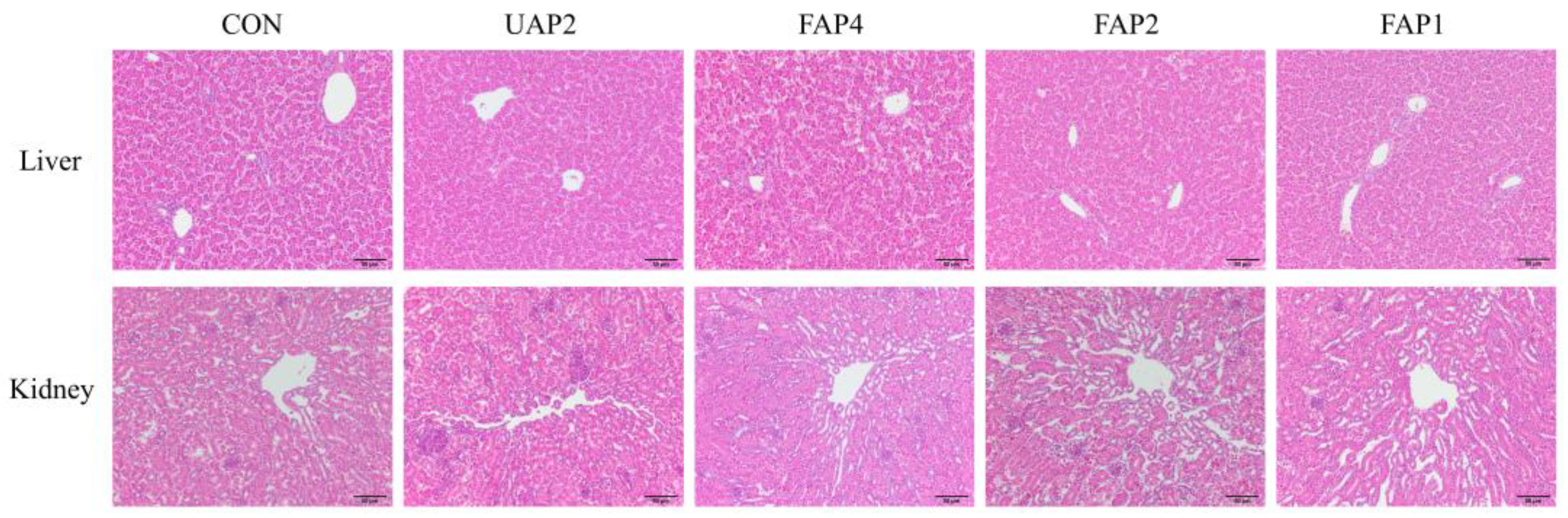 Animals 14 01628 g002