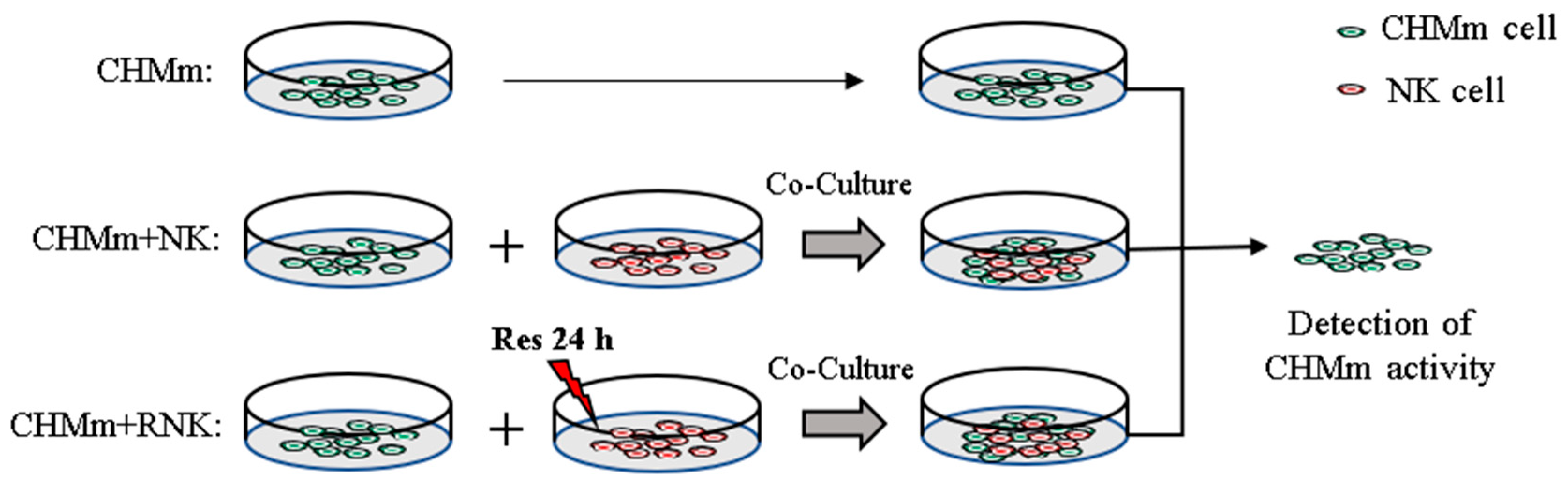 Animals 14 01636 g001