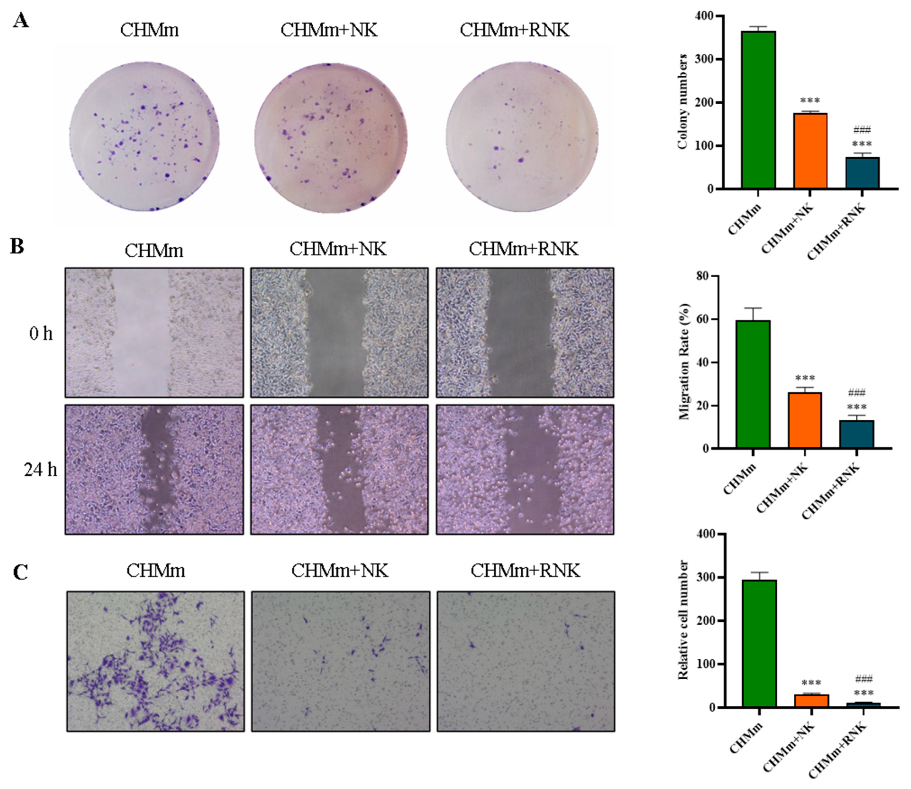 Animals 14 01636 g005