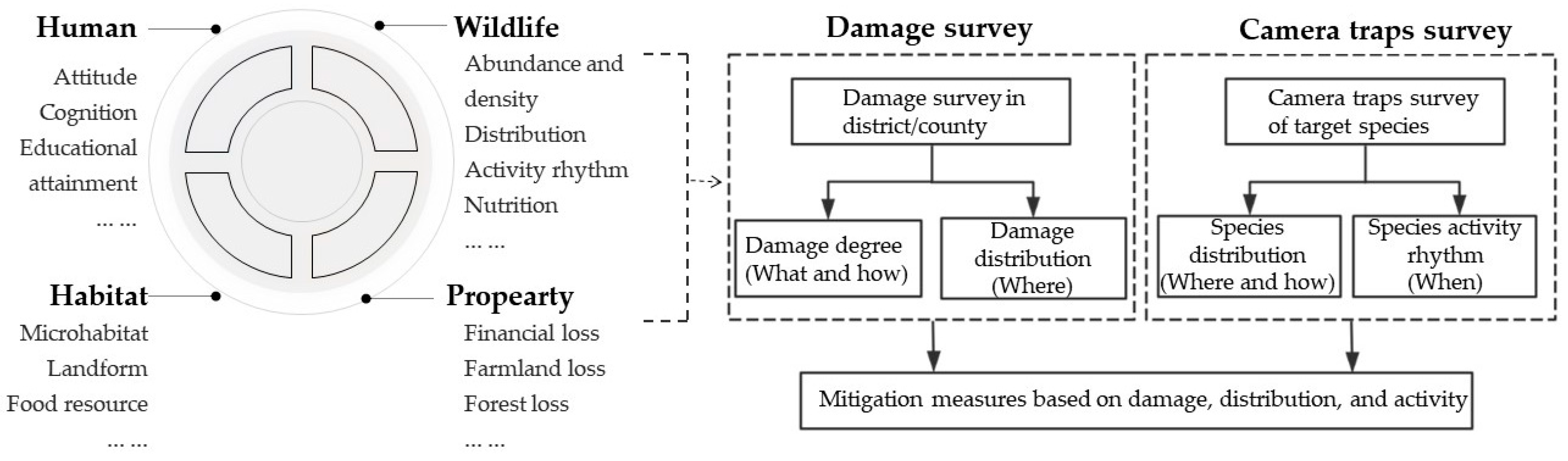 Animals 14 01639 g005 Animals 14 01639 g005