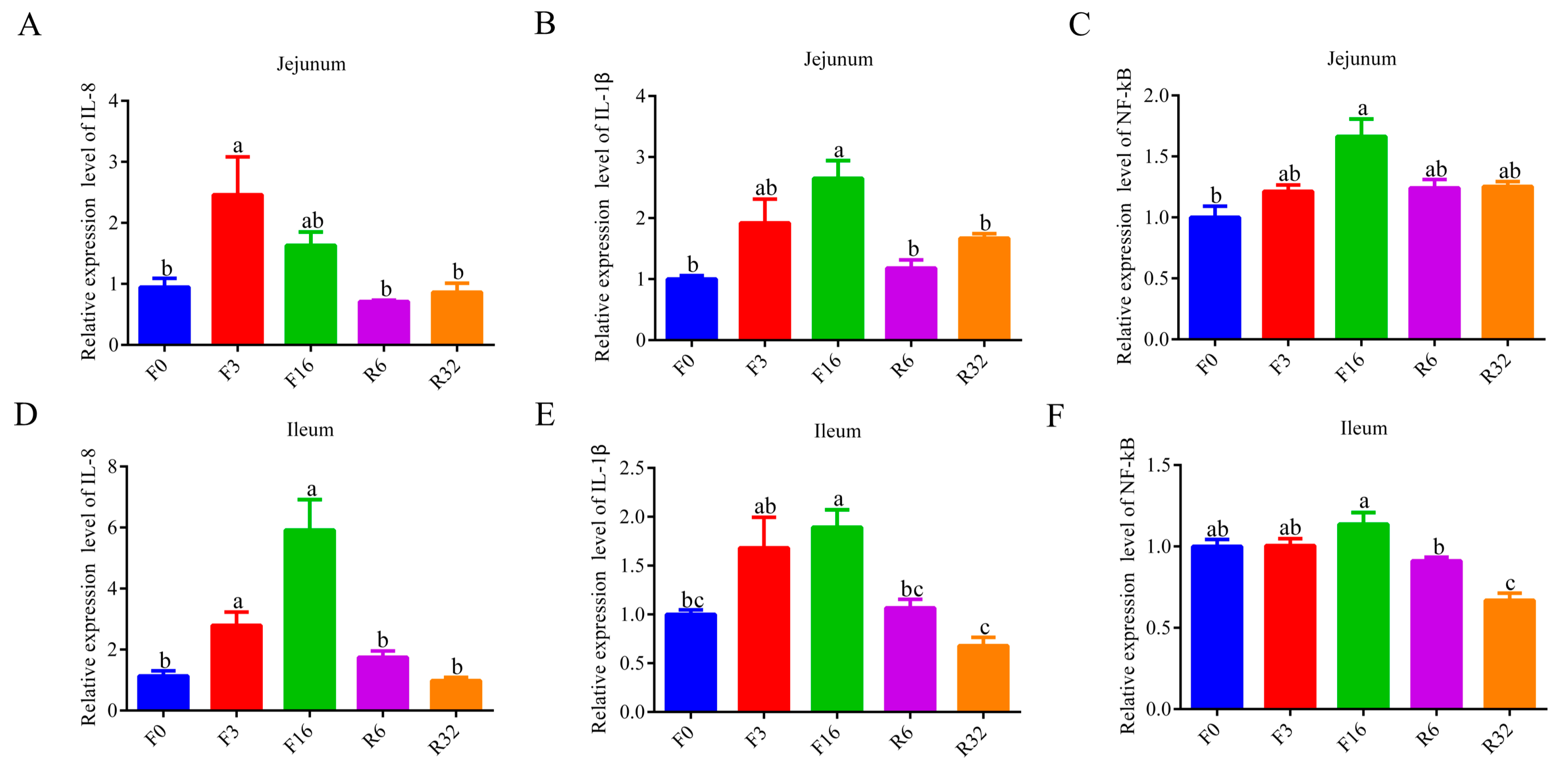 Animals 14 01640 g002