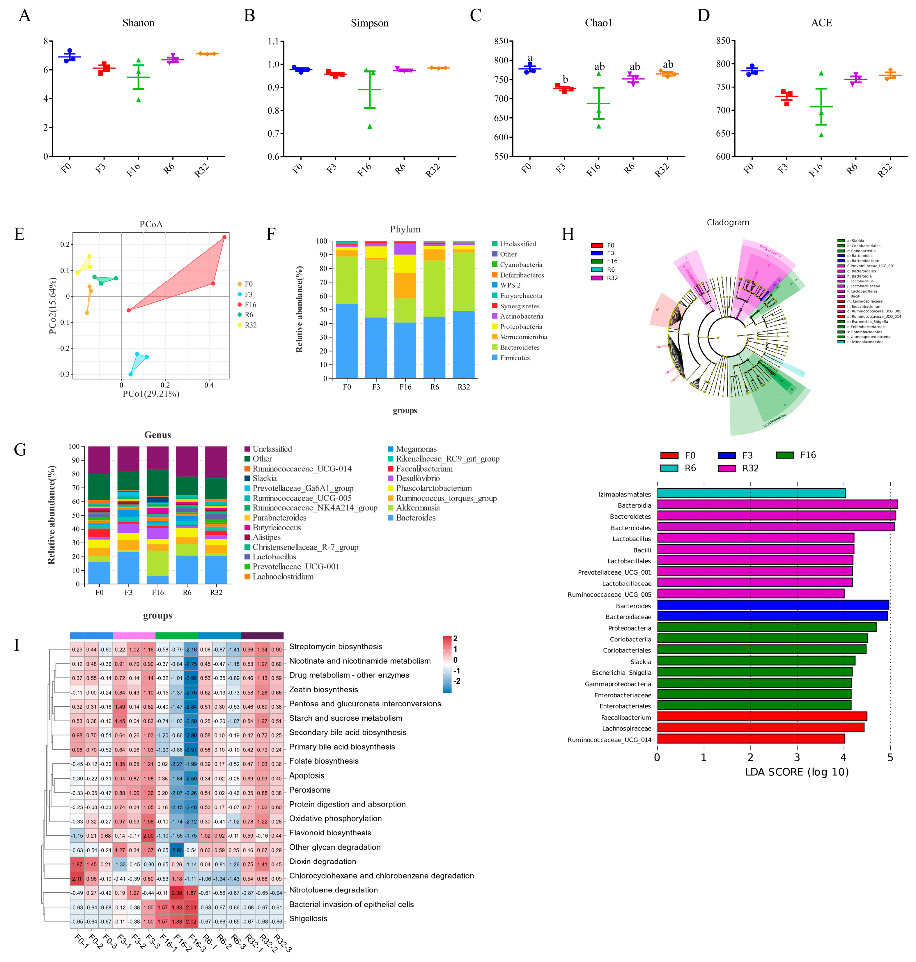 Animals 14 01640 g004