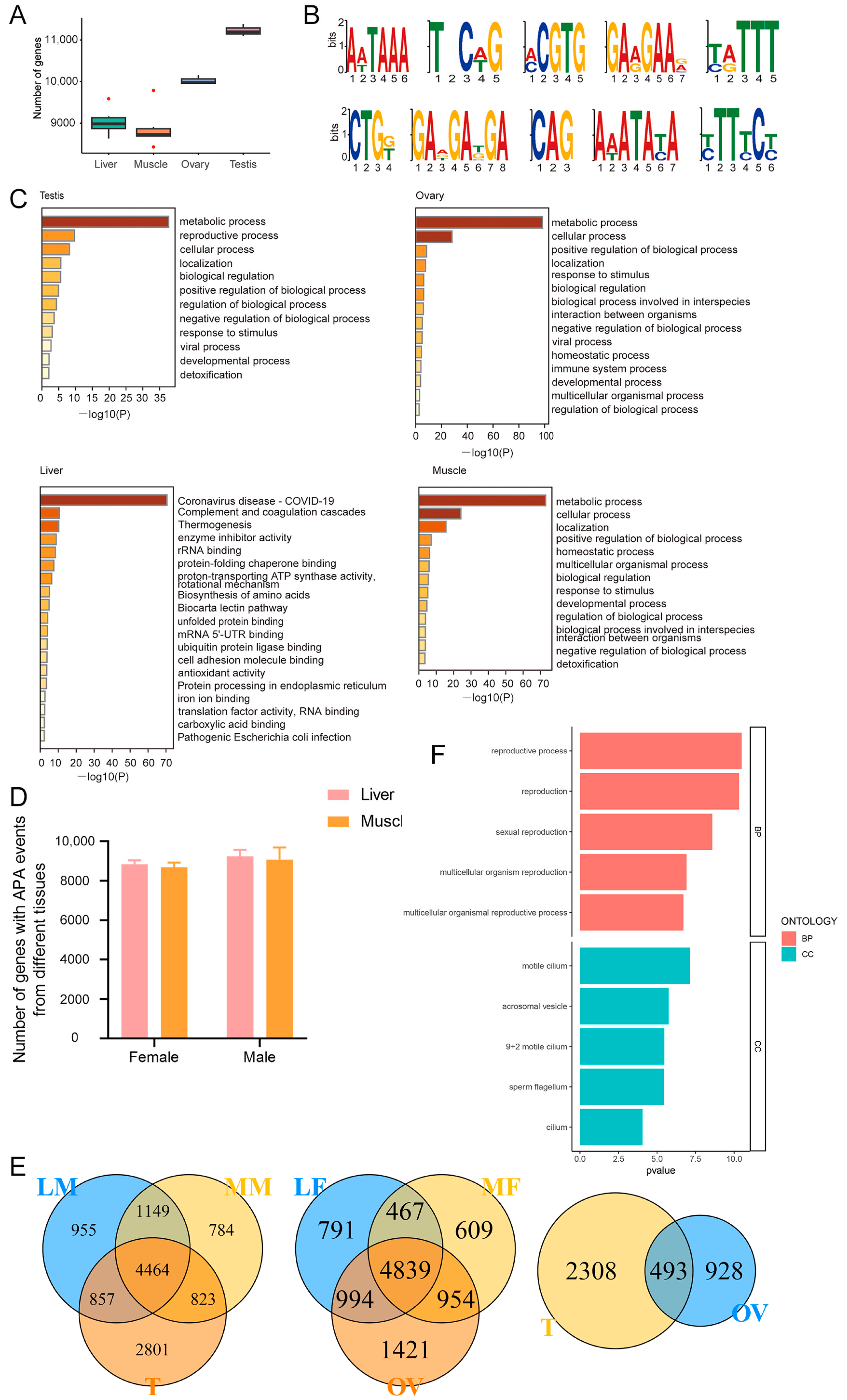 Animals 14 01646 g002