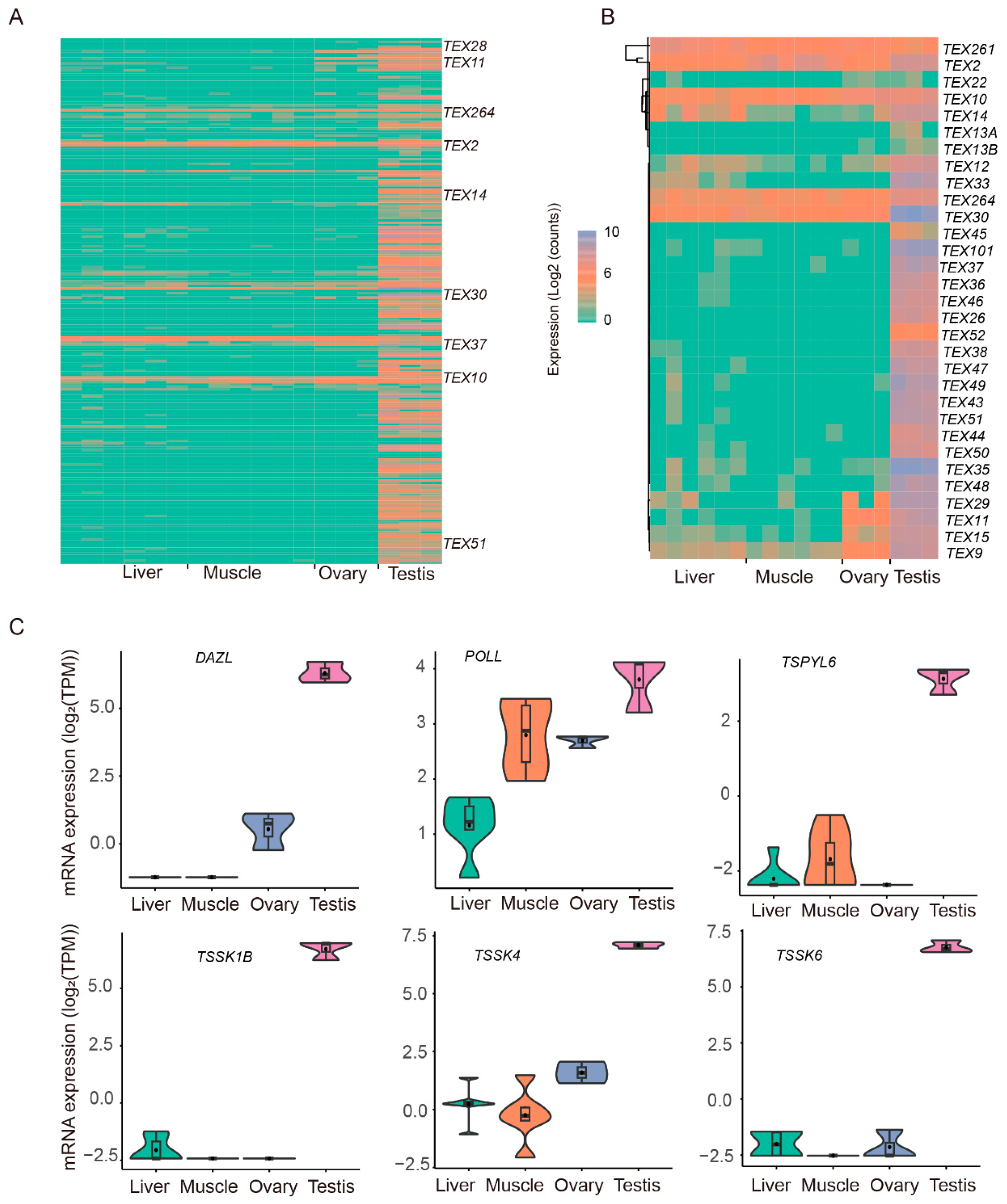 Animals 14 01646 g006