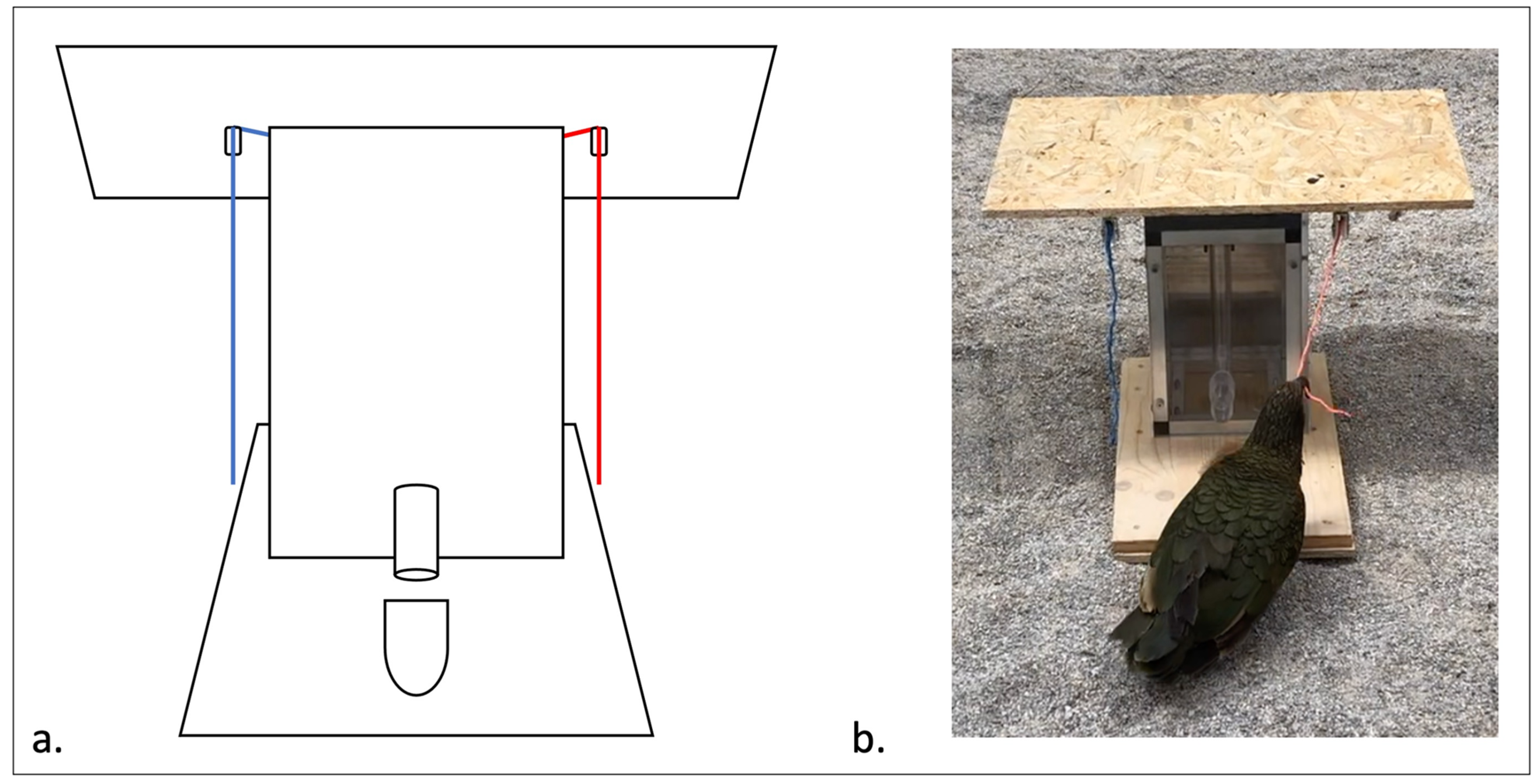 Animals 14 01651 g003