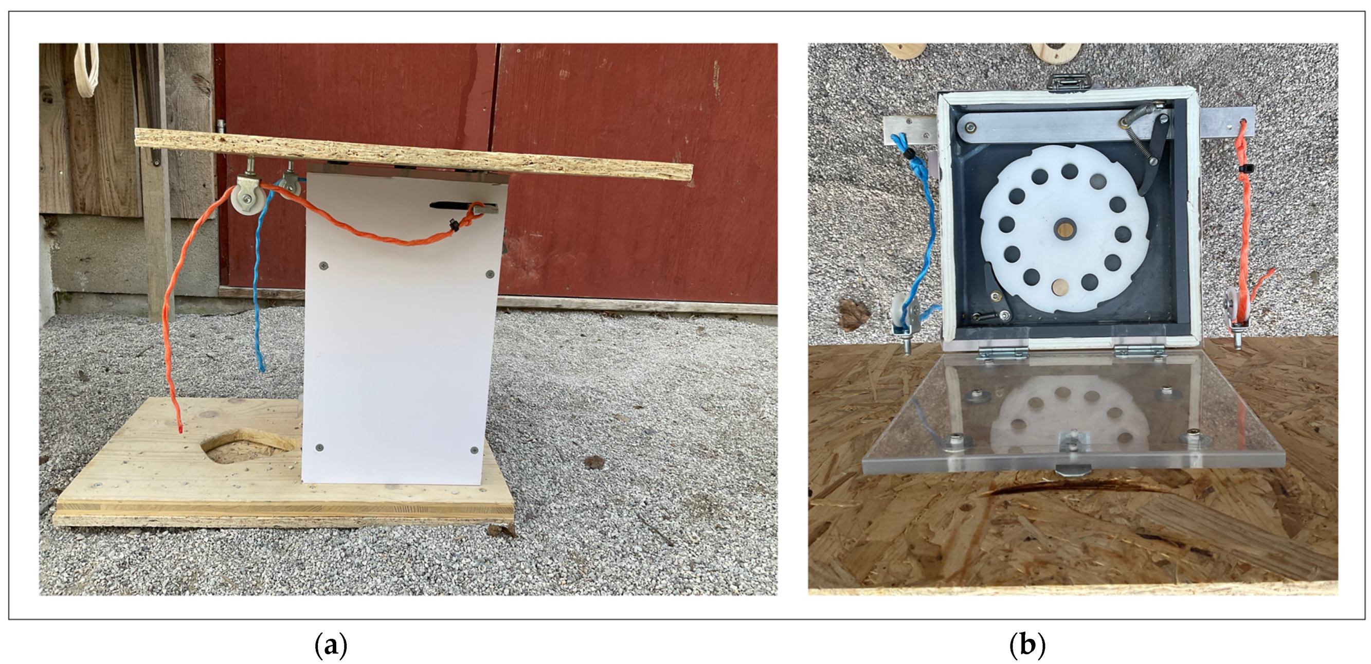 Animals 14 01651 g006