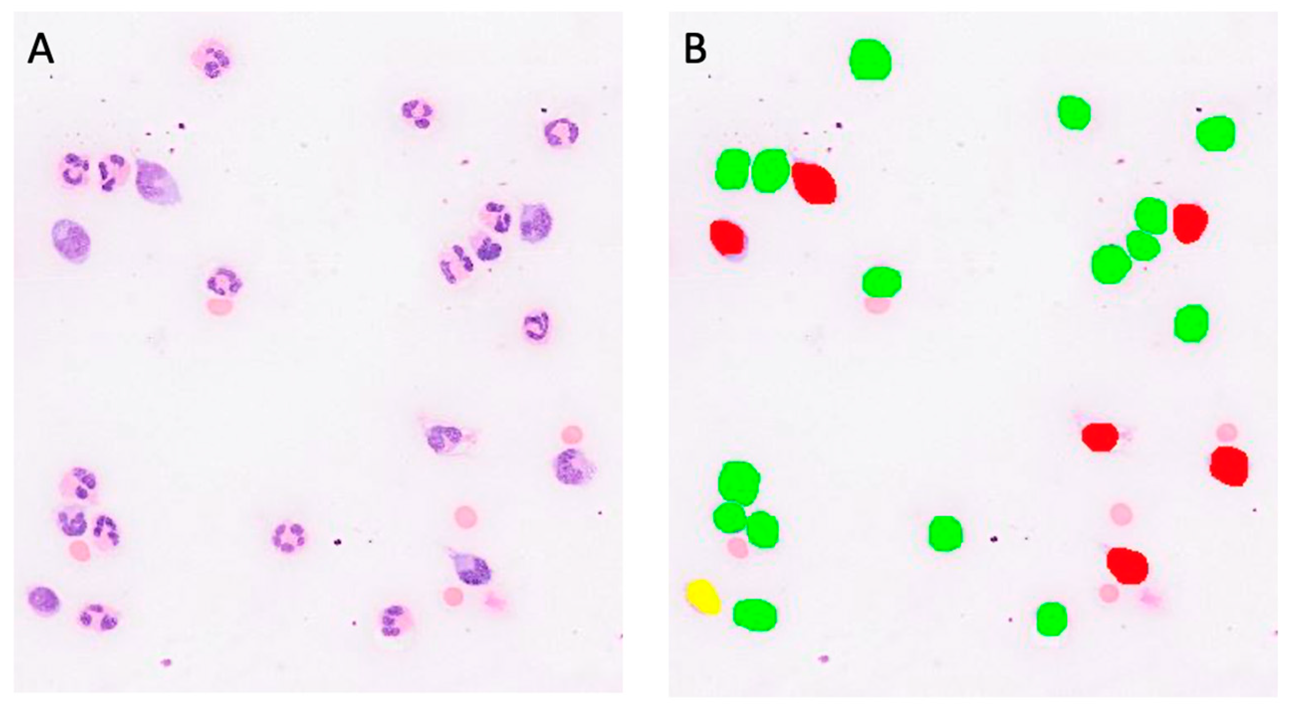 Animals 14 01655 g005 Animals 14 01655 g005