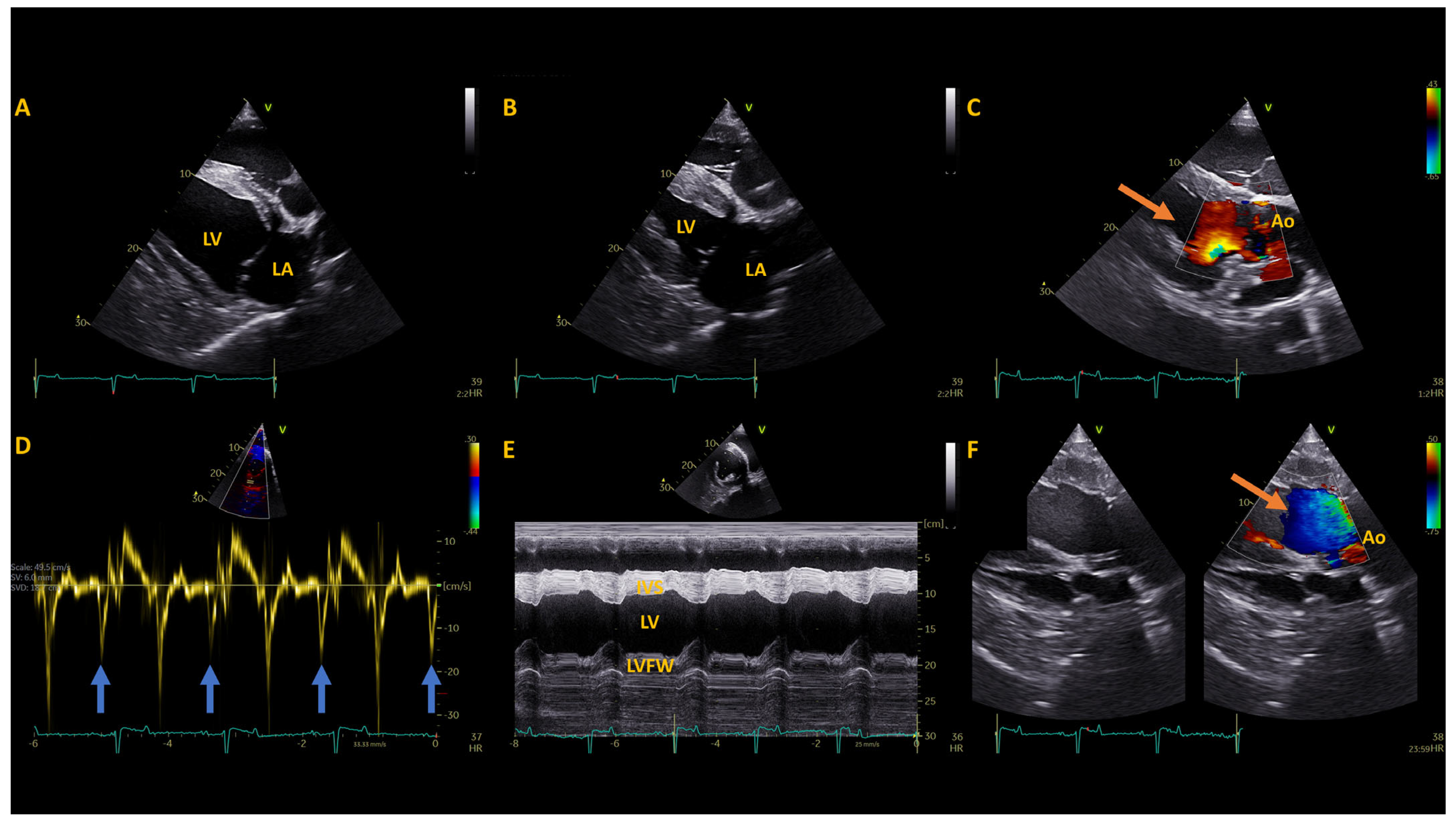 Animals 14 01660 g004