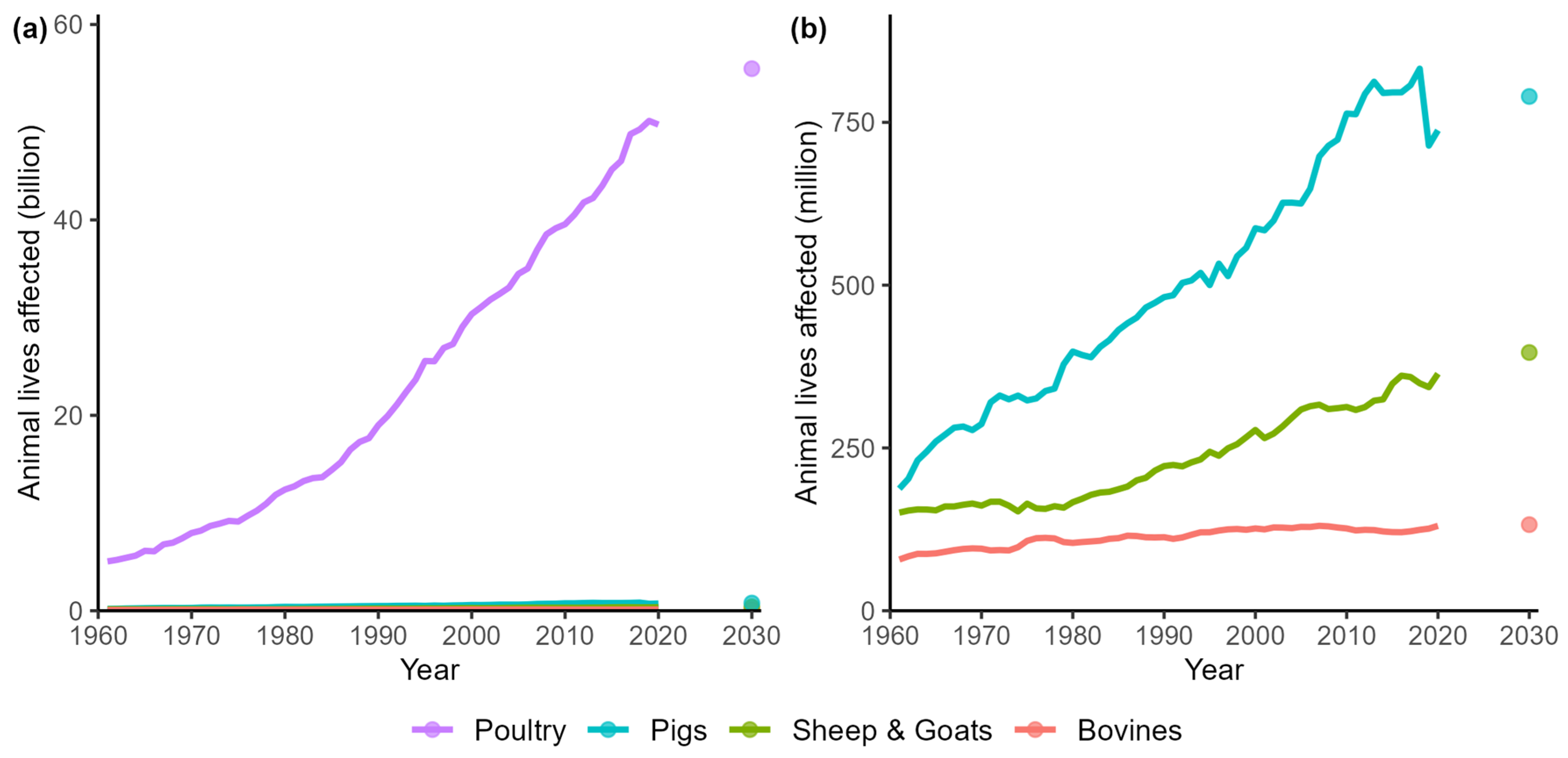Animals 14 01662 g003