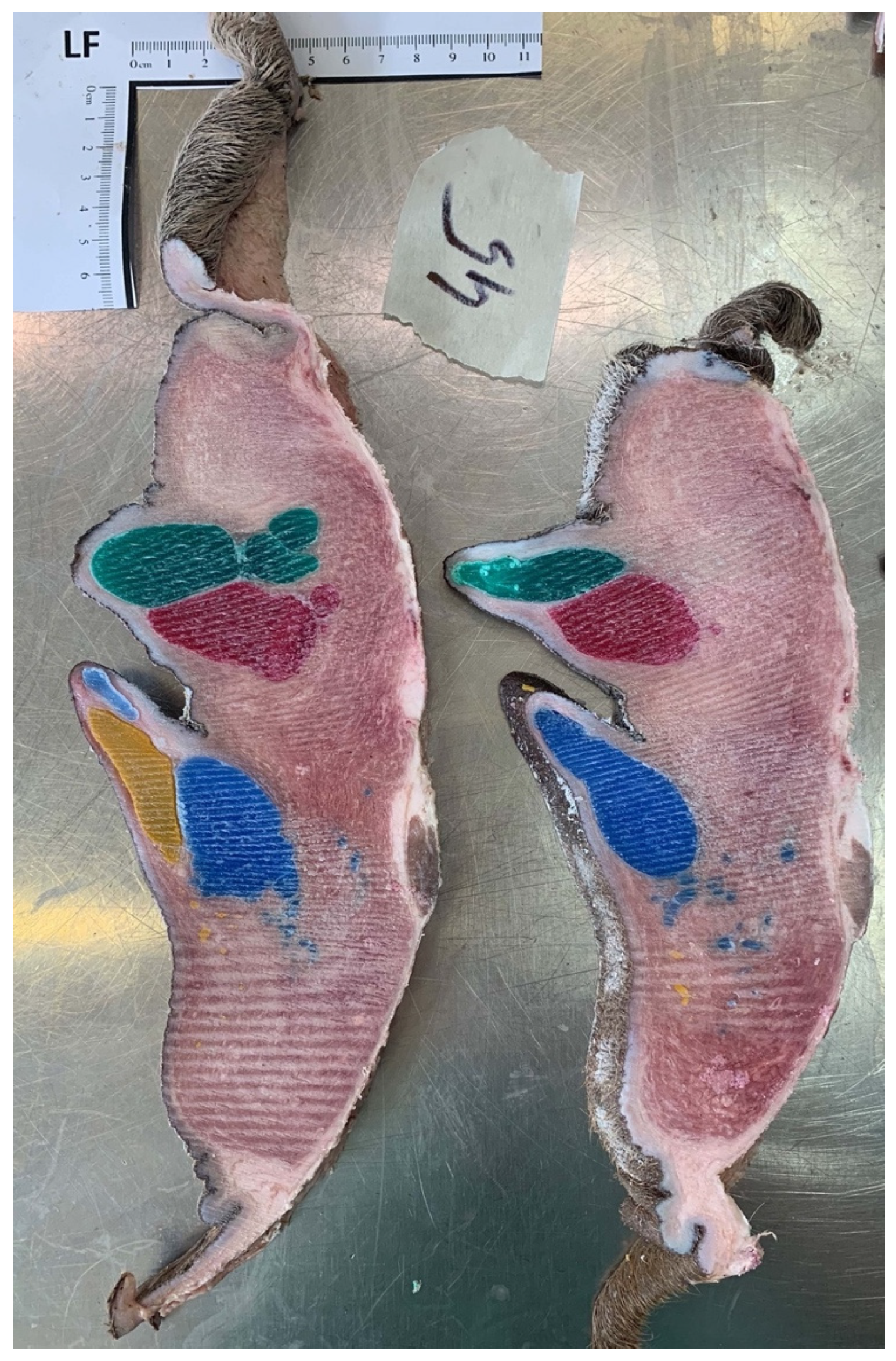 Animals 14 01674 g010