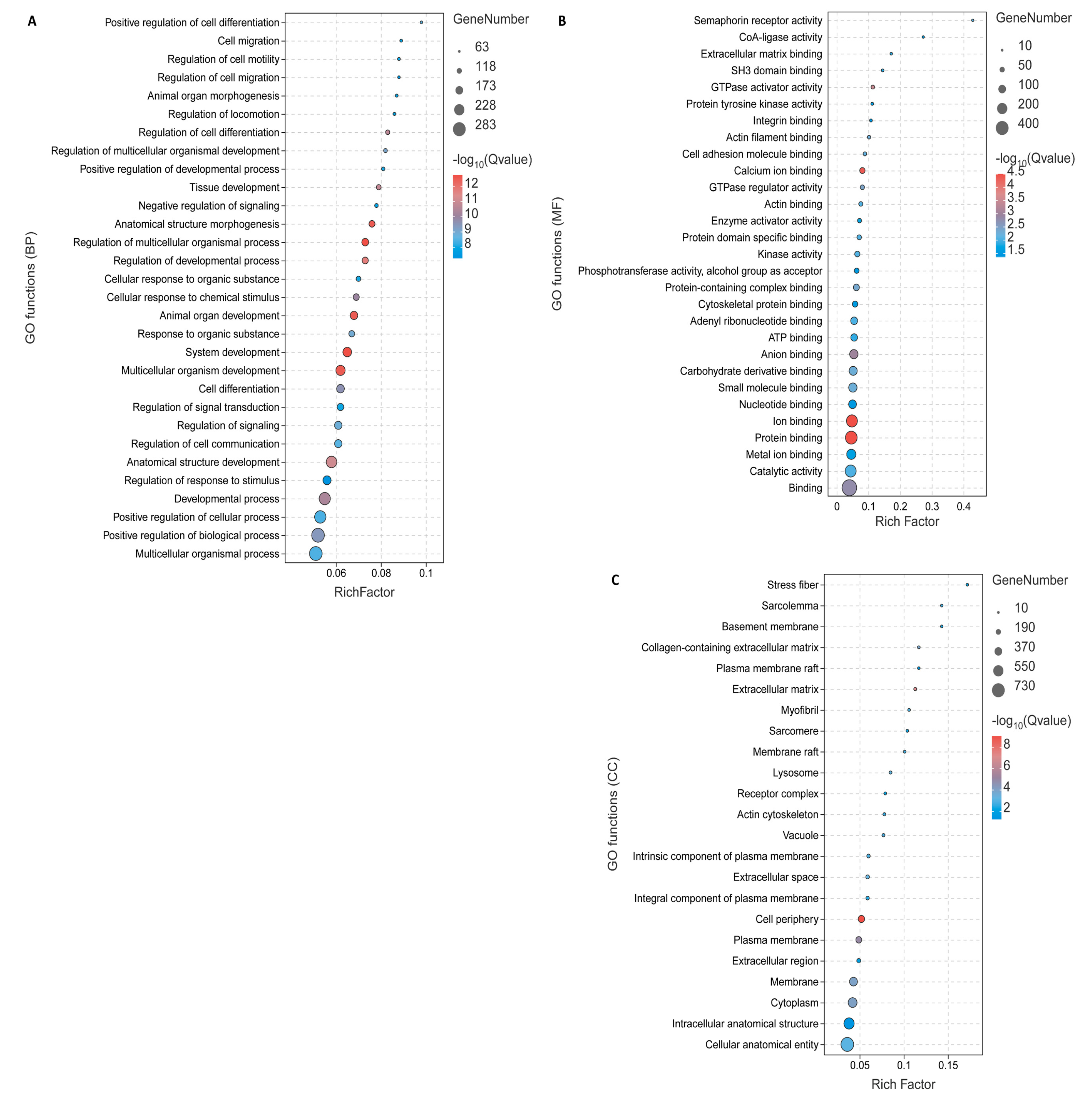 Animals 14 01679 g003