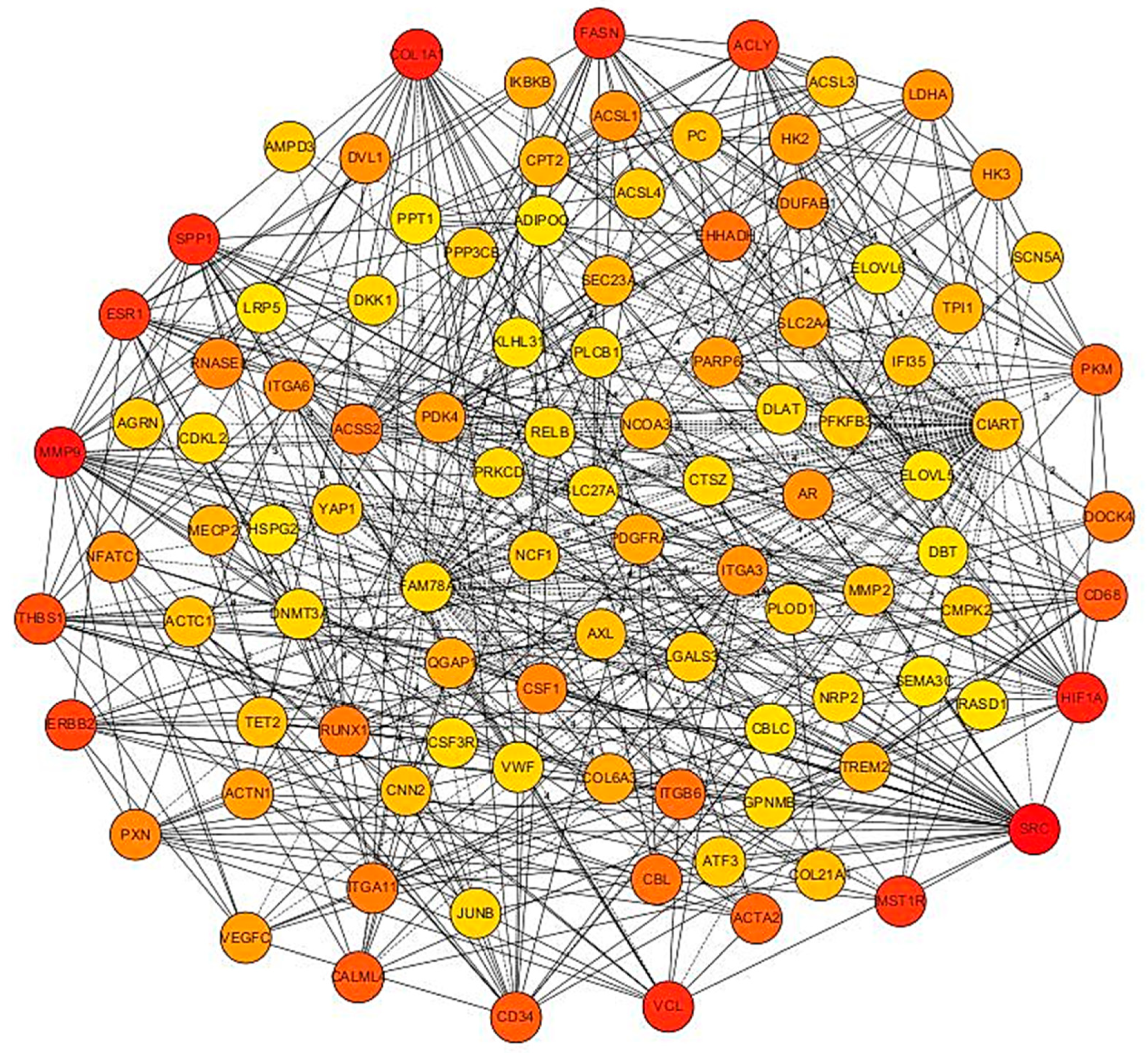 Animals 14 01679 g006