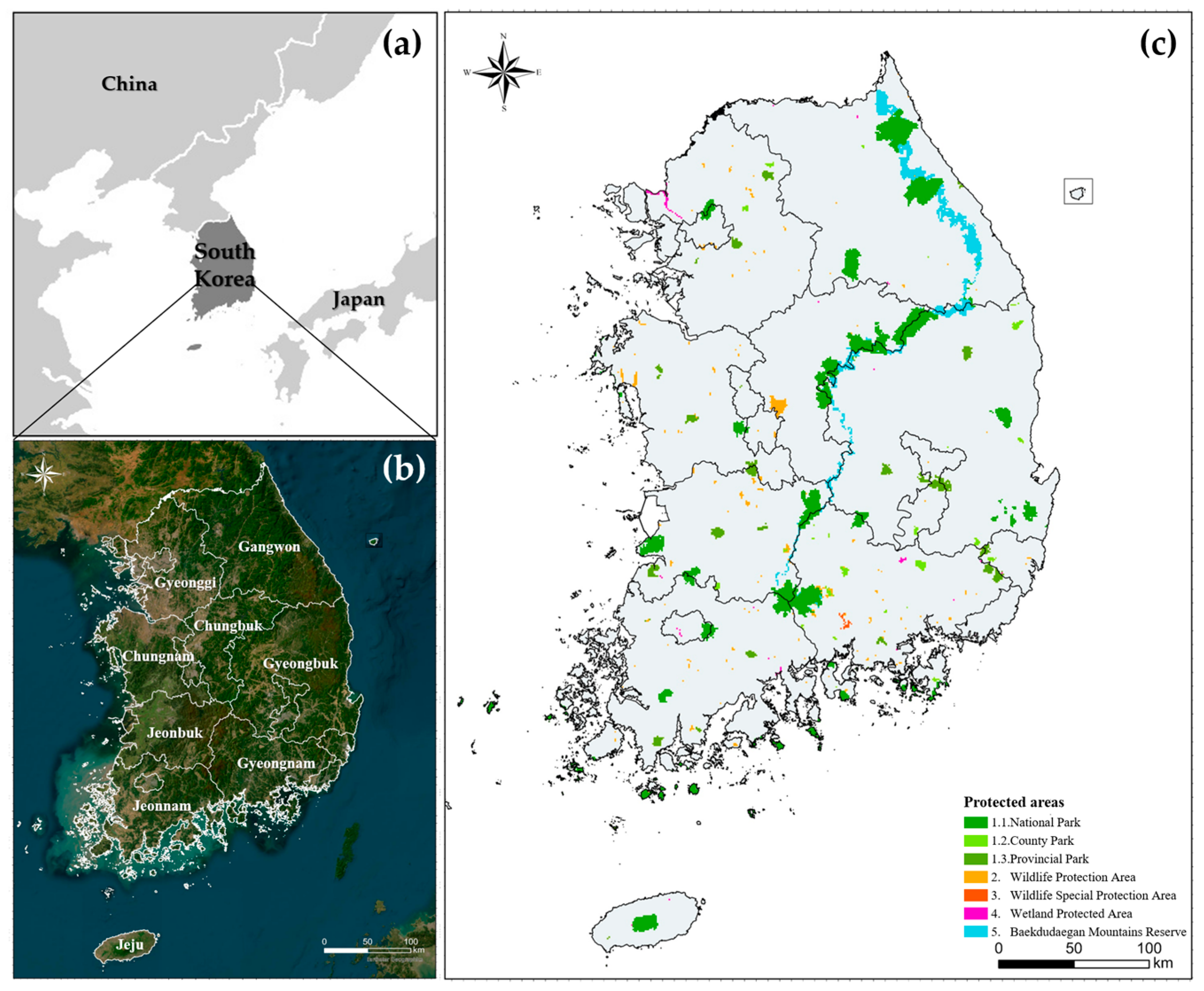 Animals 14 01680 g003