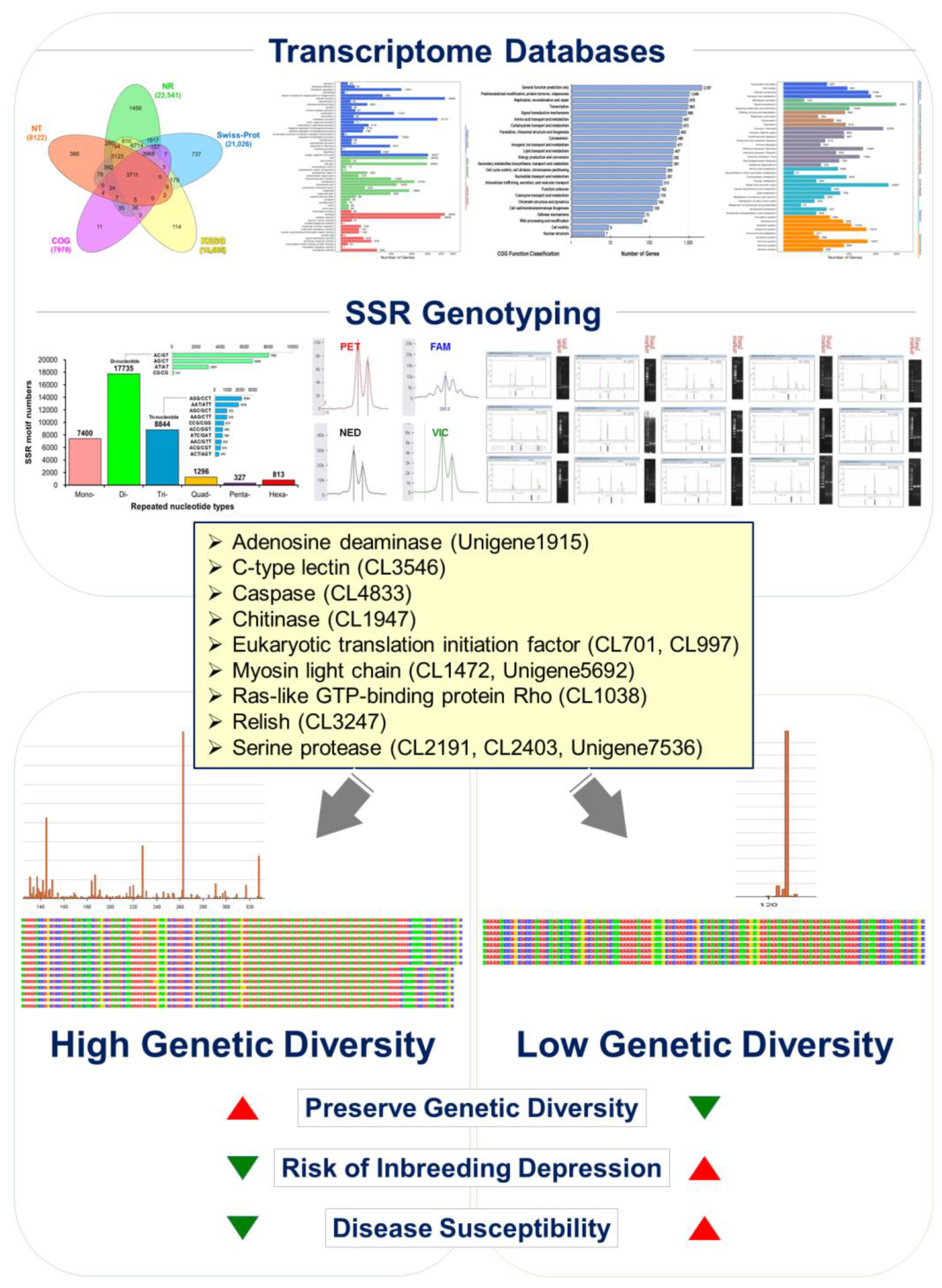 Animals 14 01685 g007