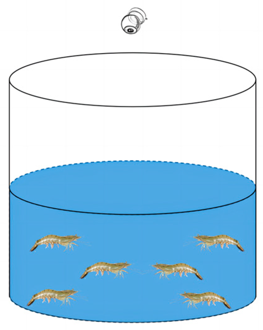 Animals 14 01691 g001