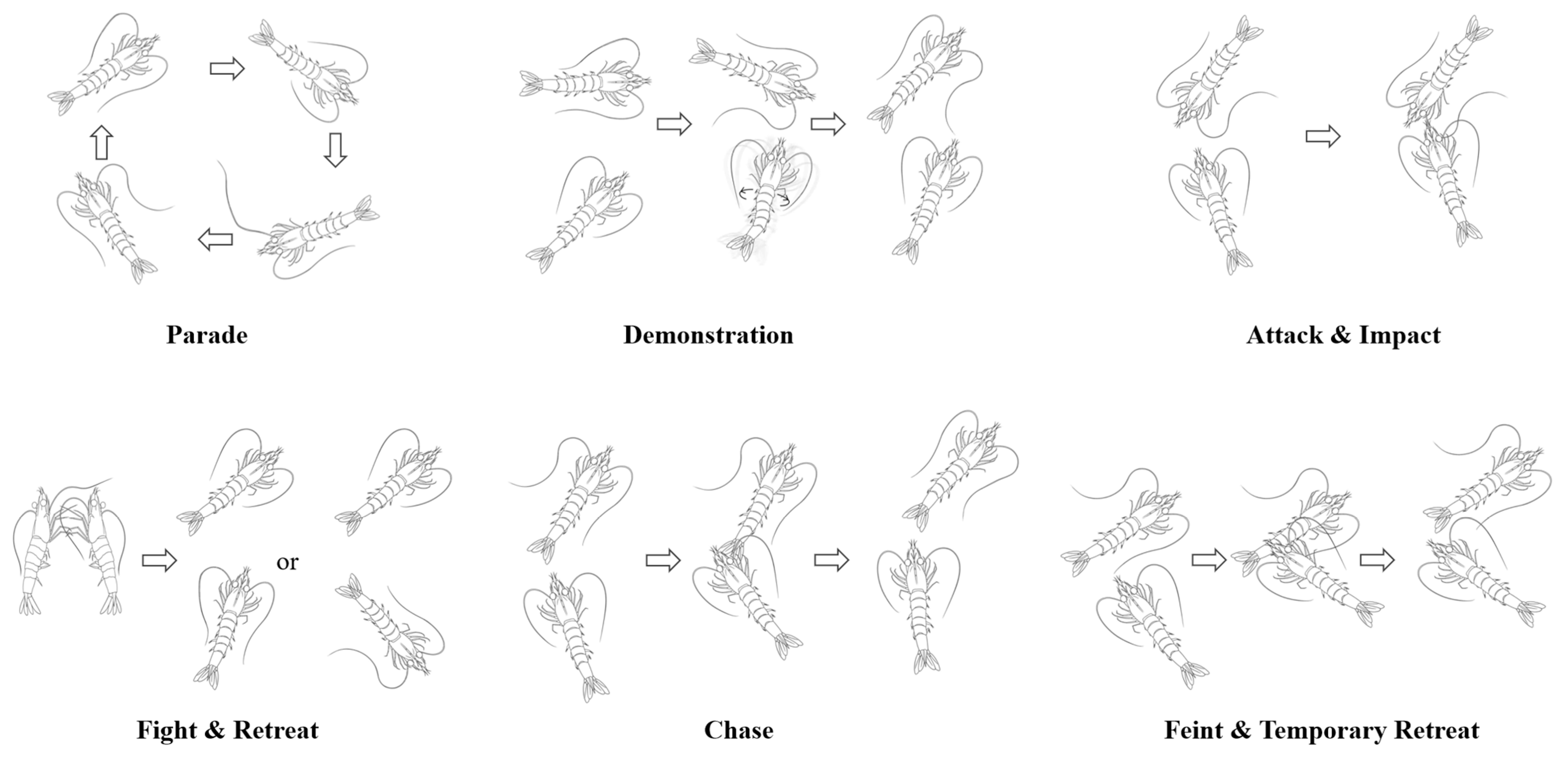 Animals 14 01691 g002