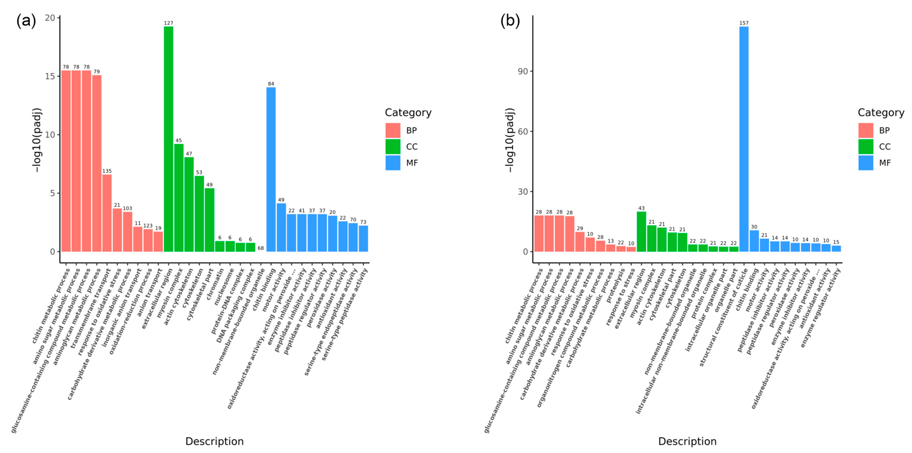 Animals 14 01691 g006