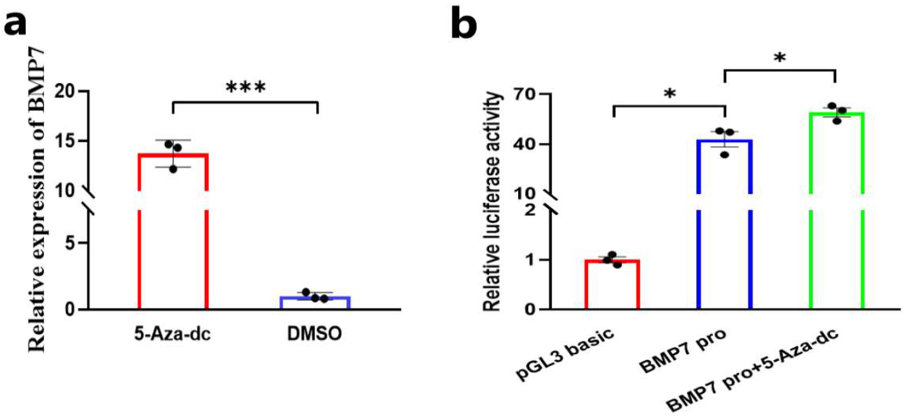 Animals 14 01699 g001