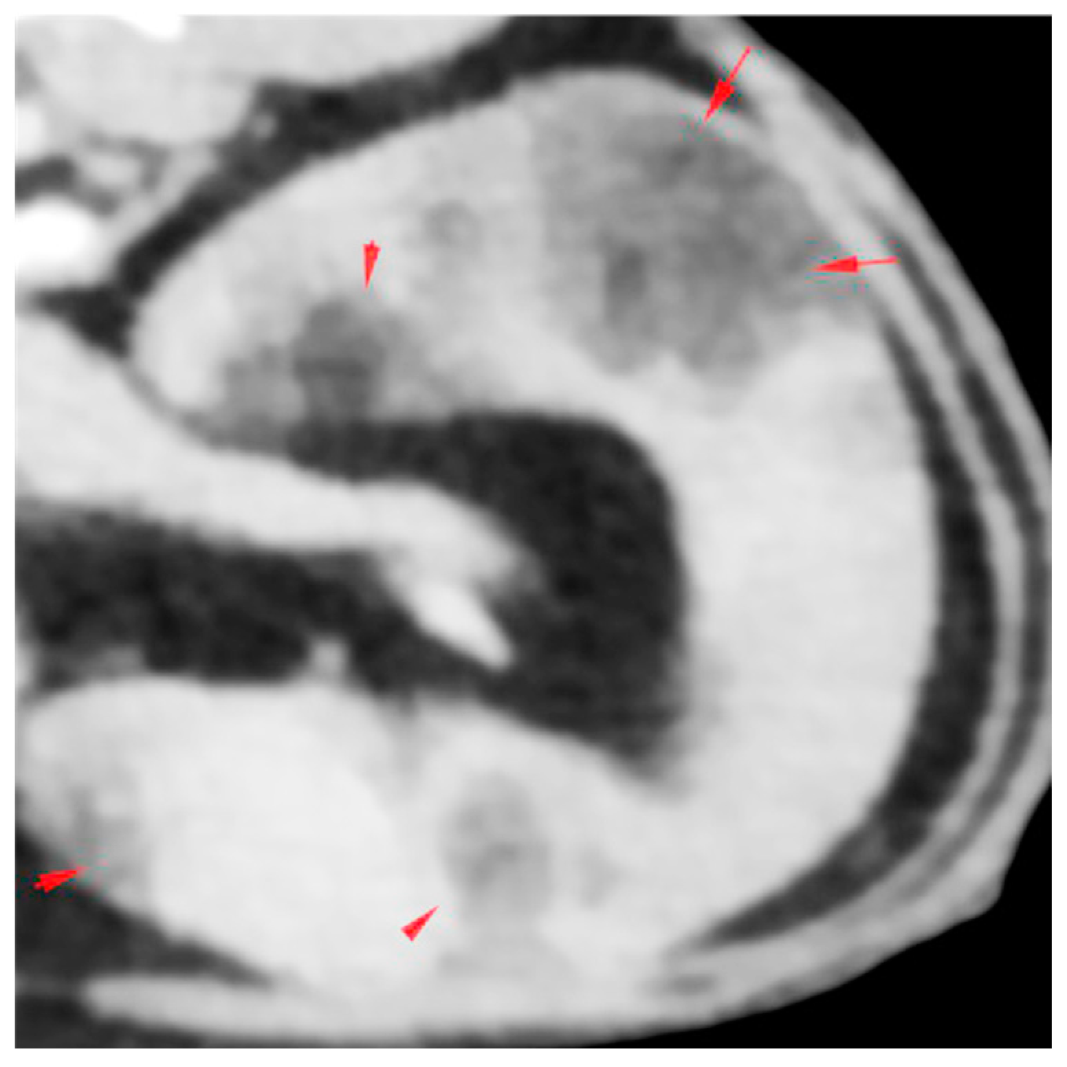 Animals 14 01700 g001 Animals 14 01700 g001