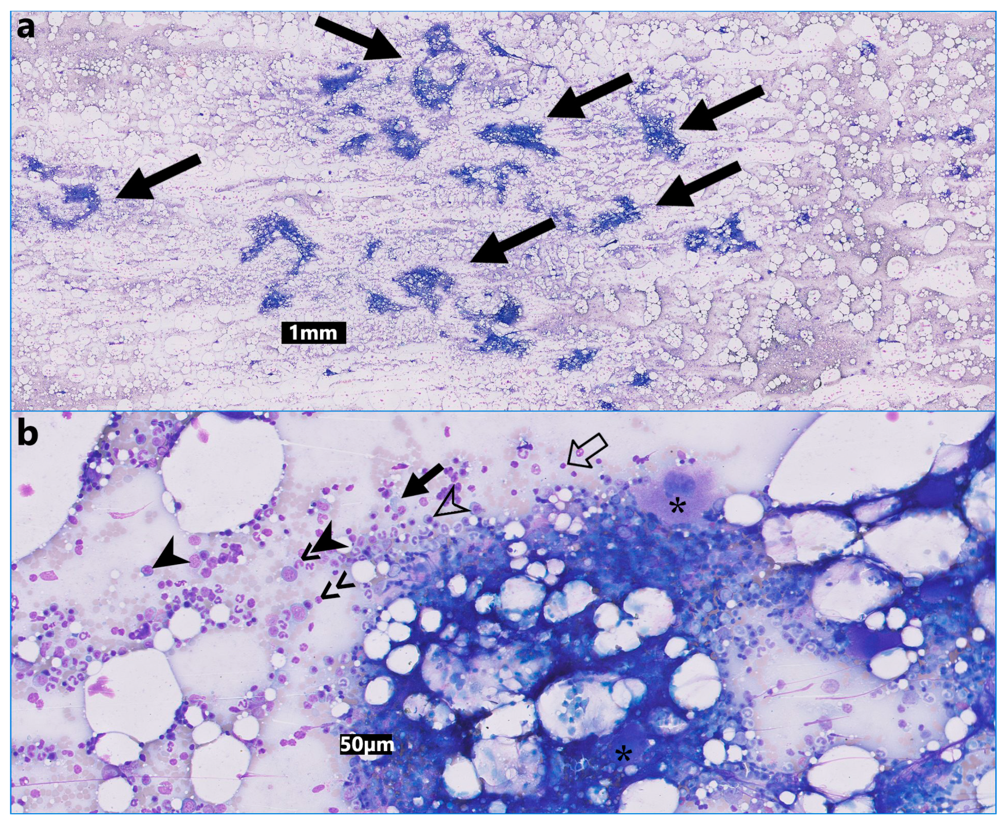 Animals 14 01700 g002 Animals 14 01700 g002