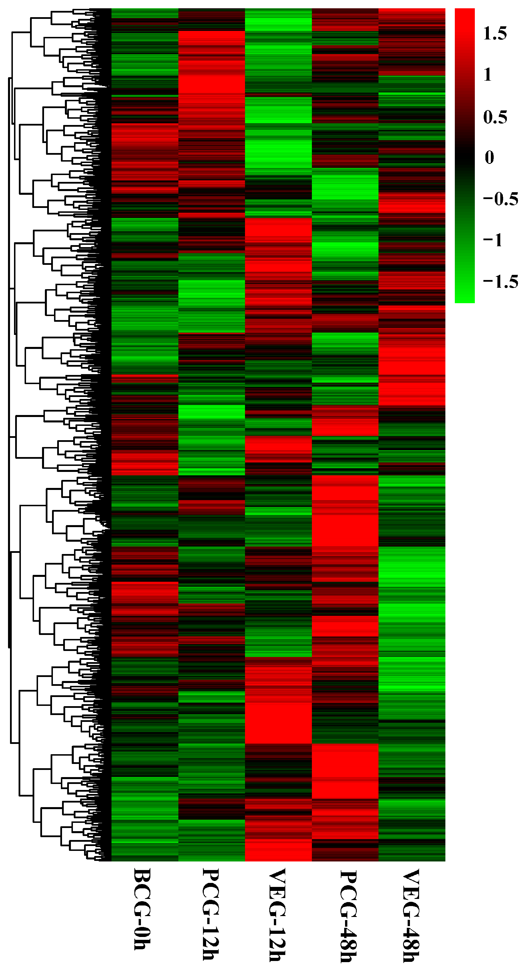 Animals 14 01707 g003 Animals 14 01707 g003