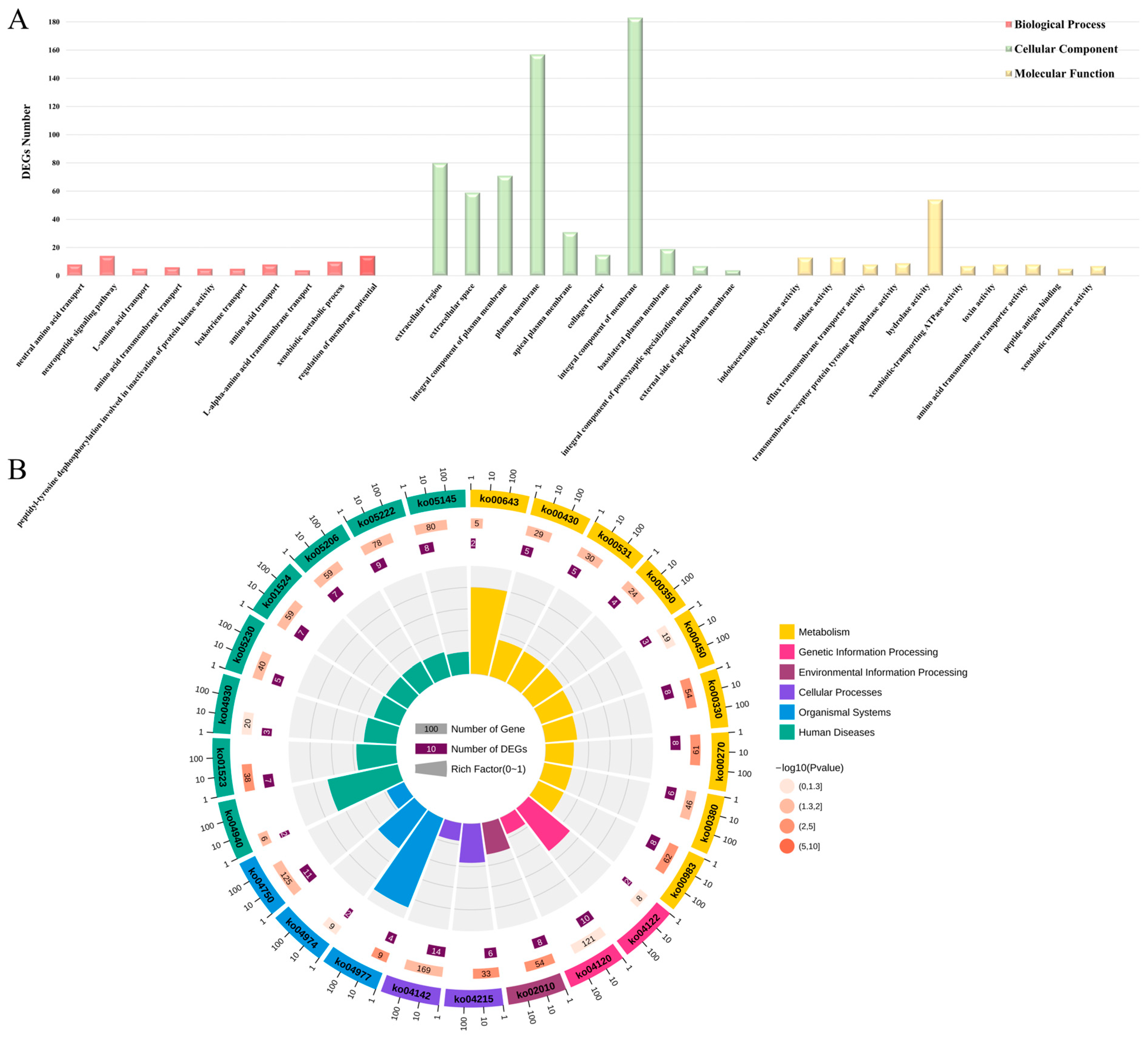 Animals 14 01707 g004 Animals 14 01707 g004