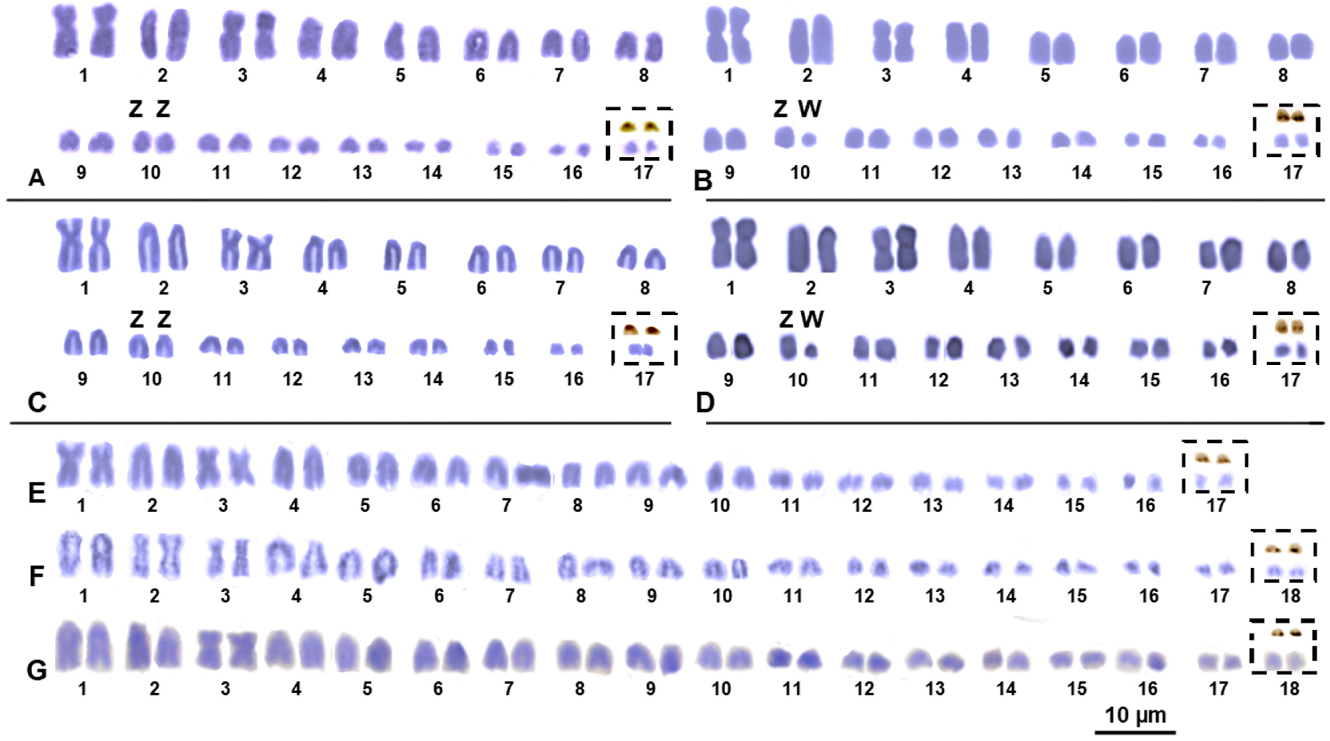 Animals 14 01708 g001