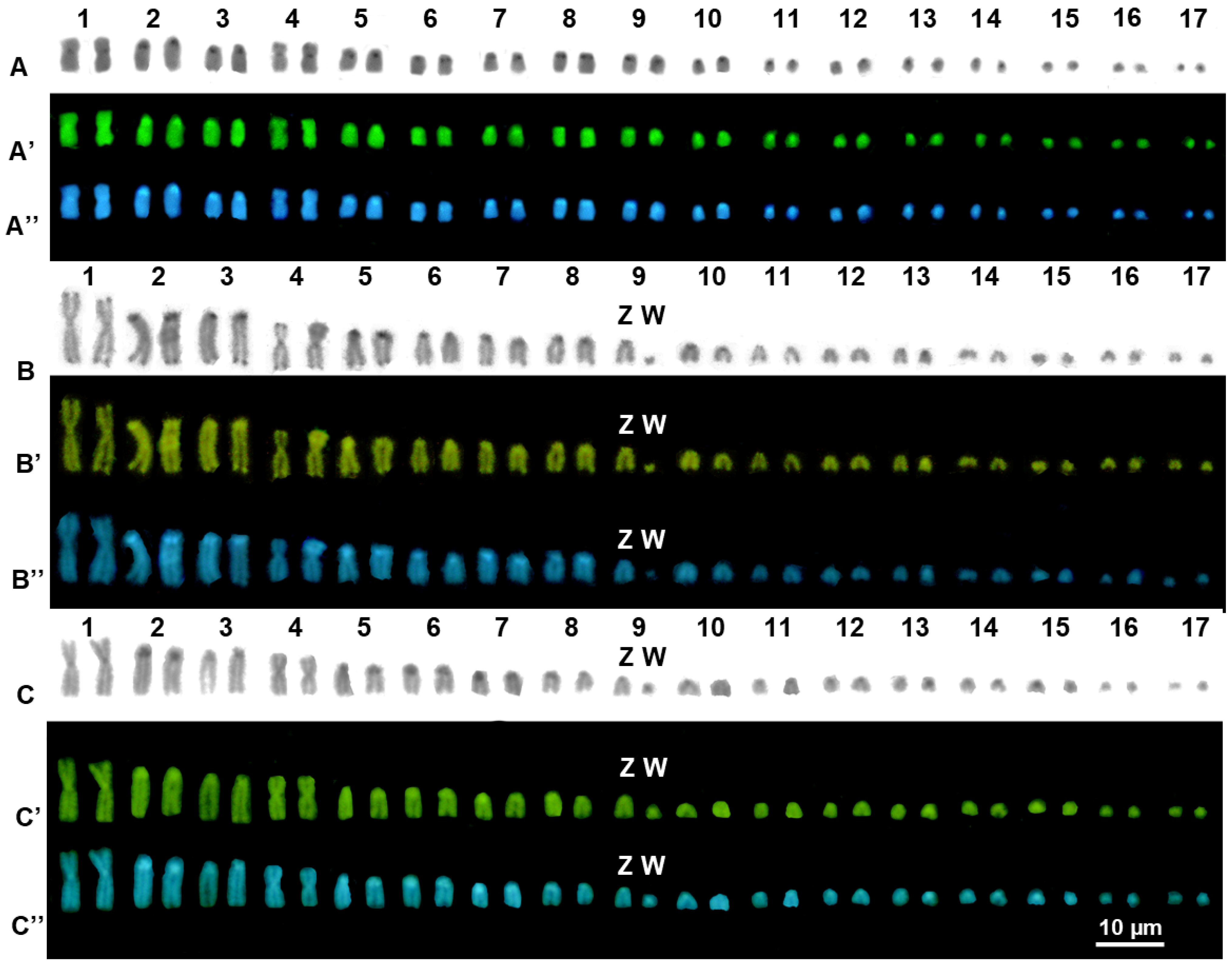 Animals 14 01708 g002