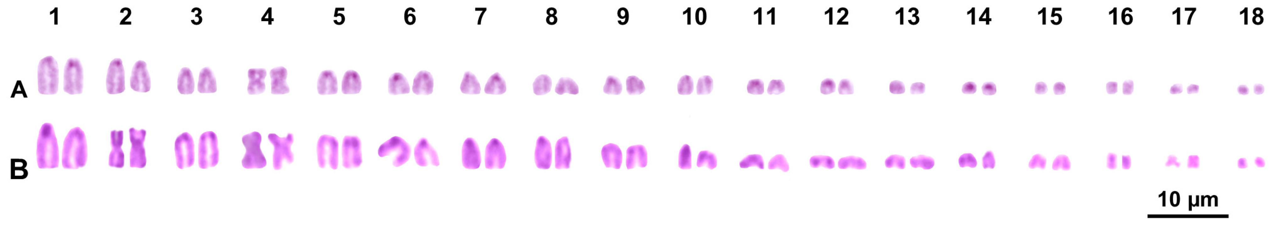 Animals 14 01708 g003