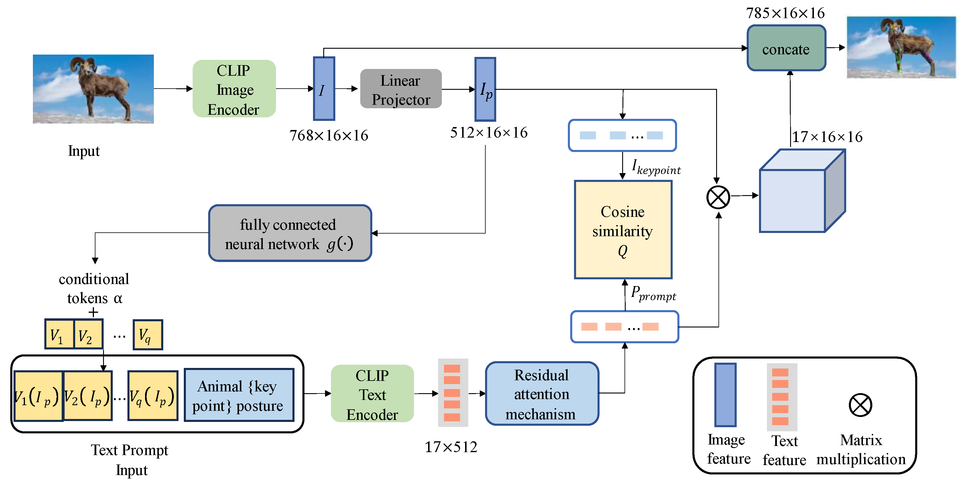 Animals 14 01712 g001