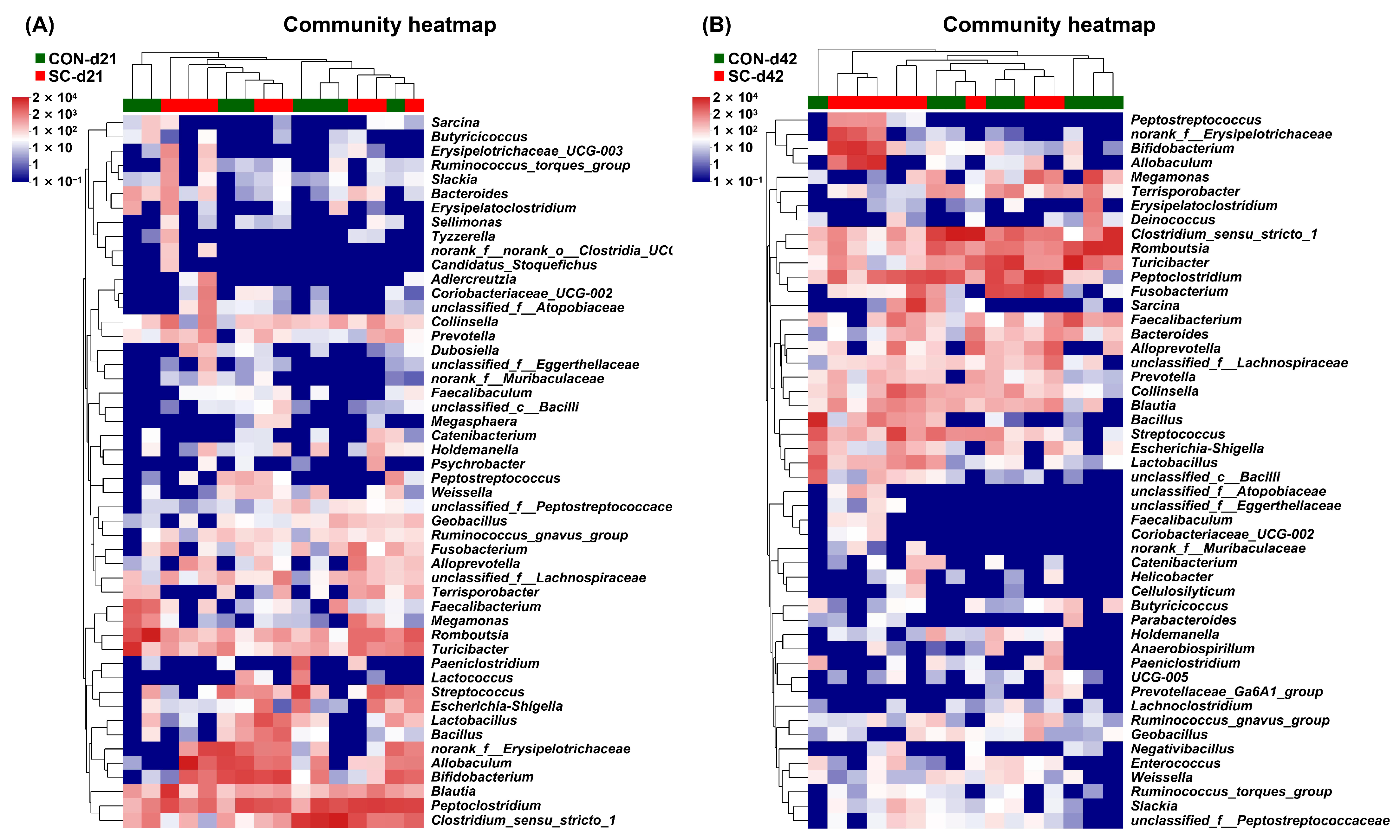 Animals 14 01713 g006