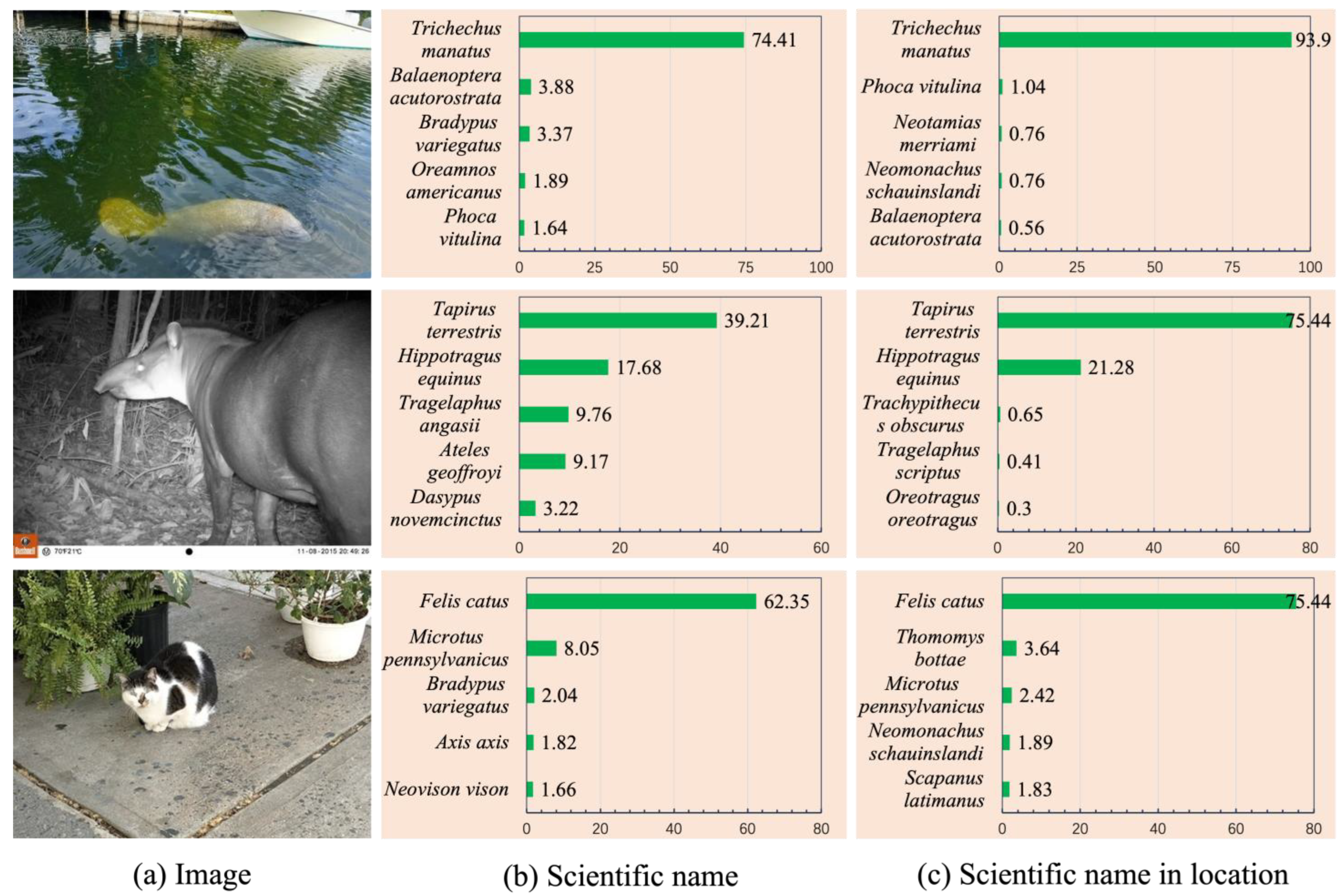 Animals 14 01716 g006