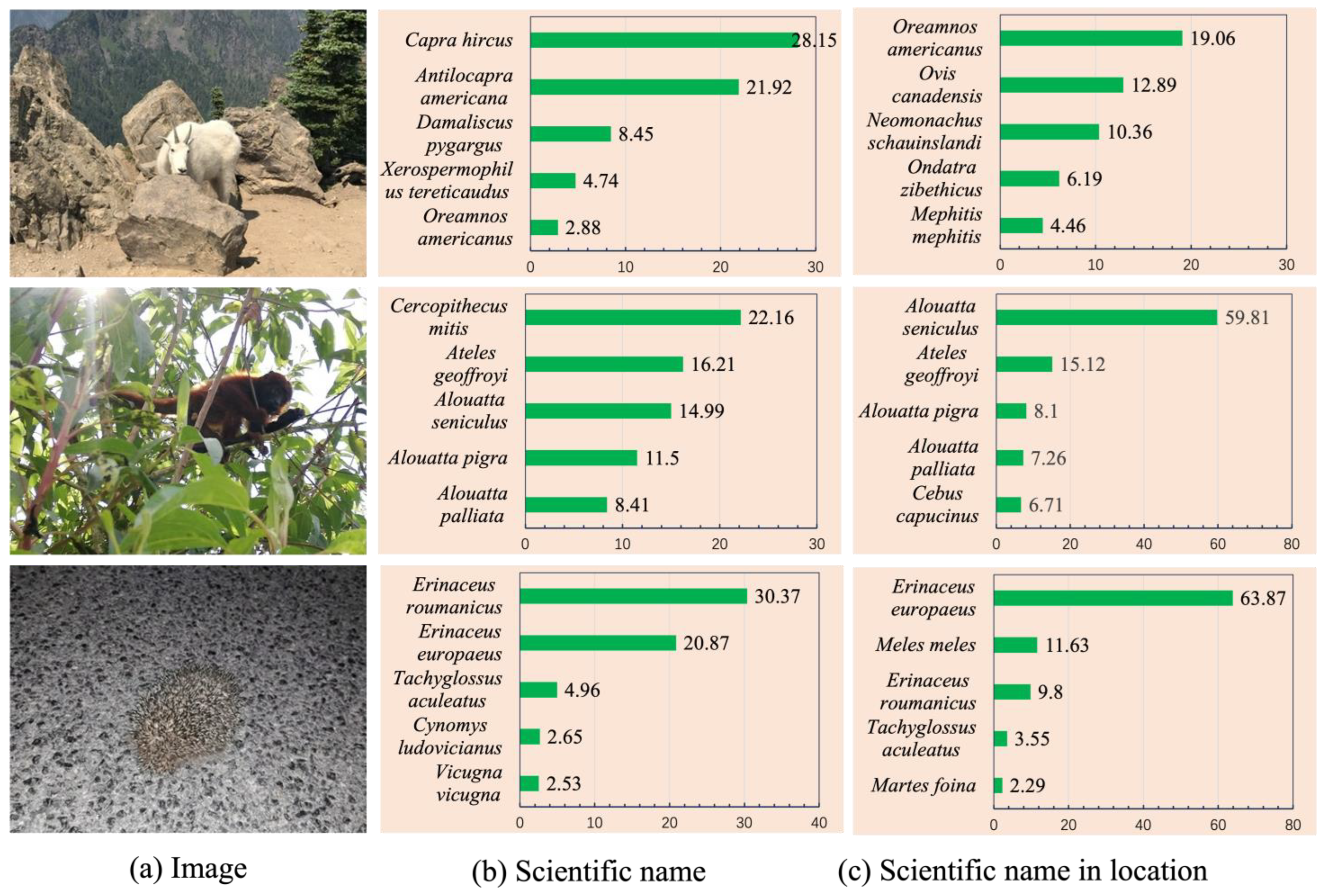 Animals 14 01716 g007