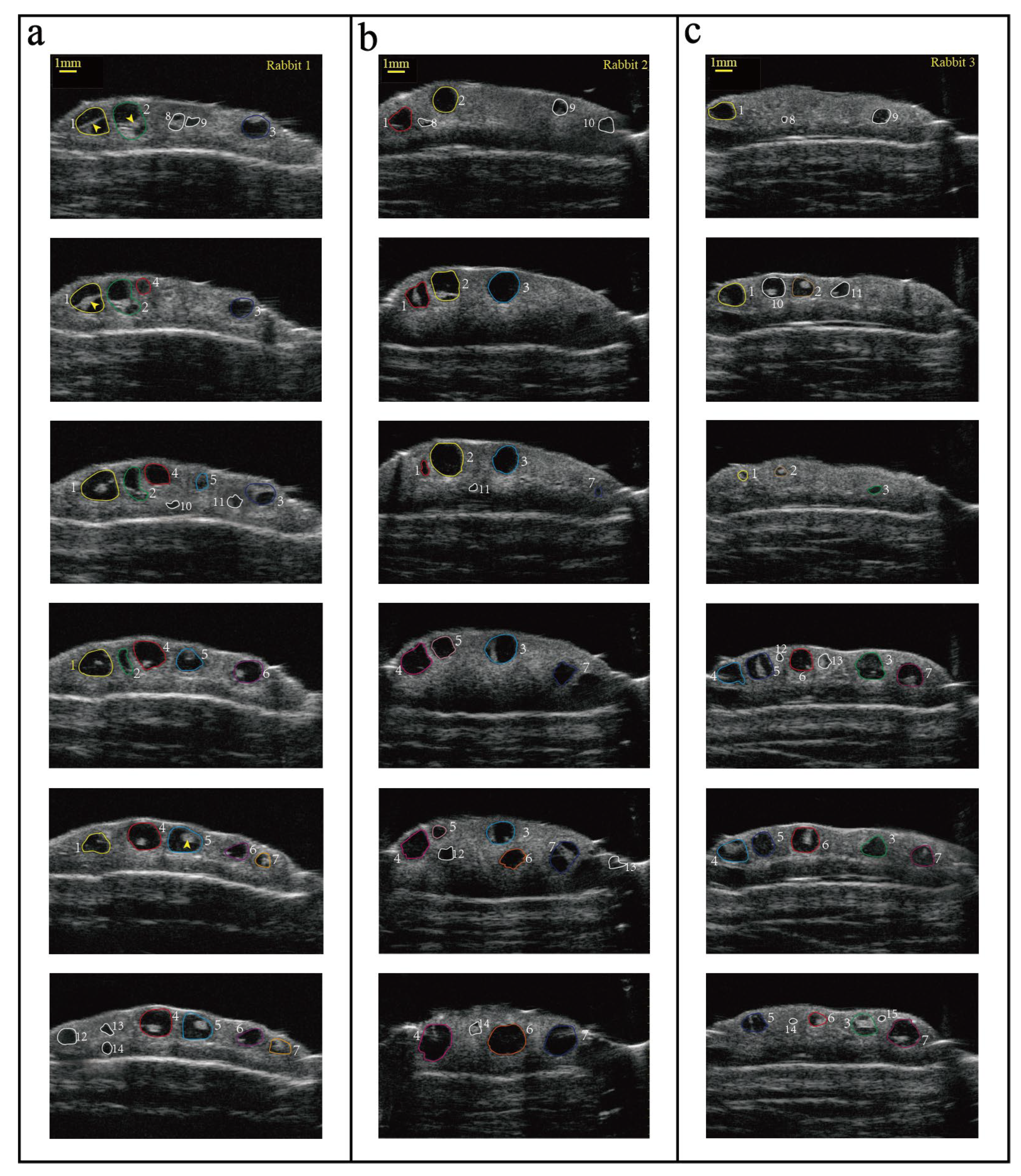 Animals 14 01727 g004 Animals 14 01727 g004