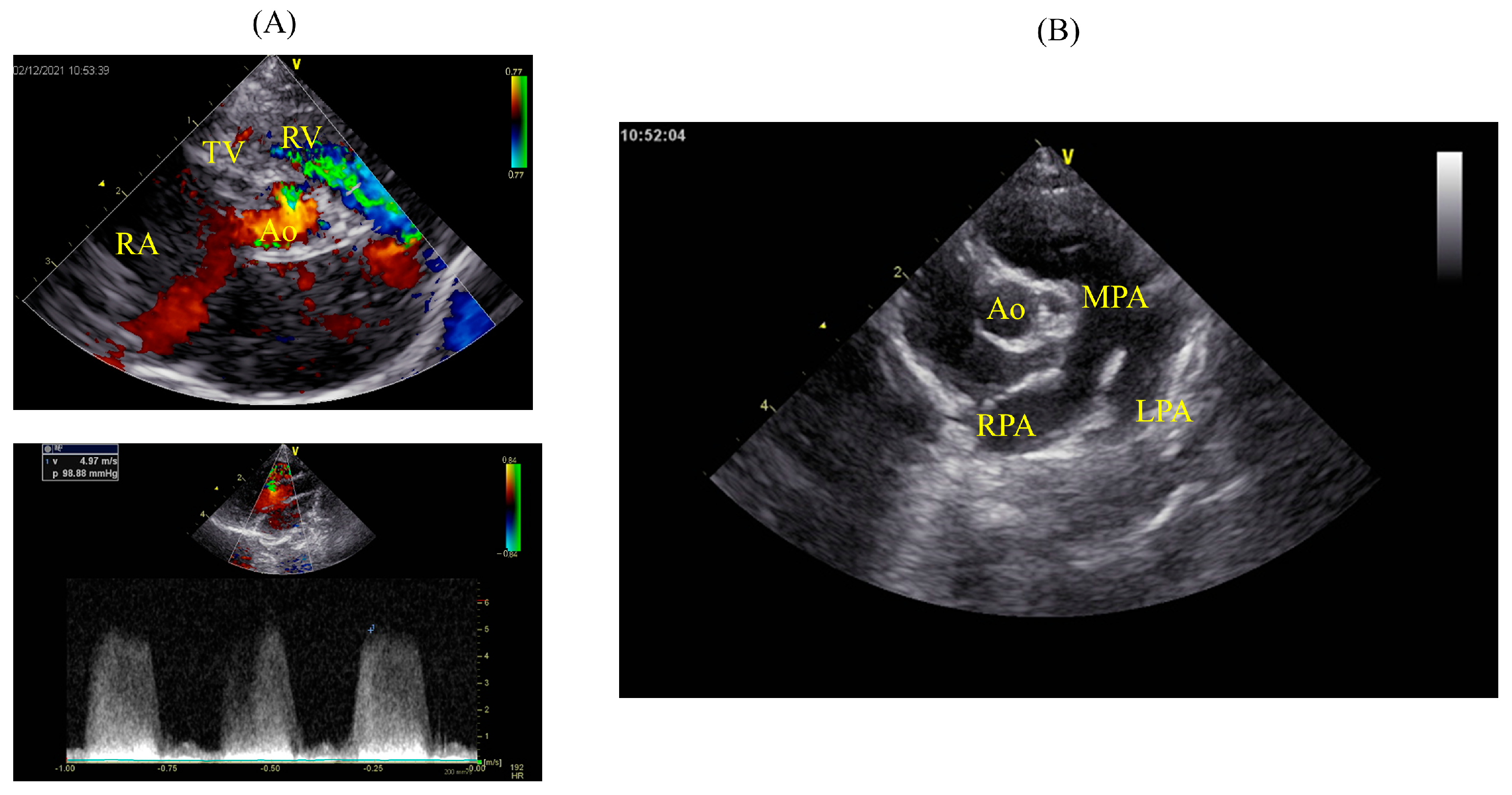 Animals 14 01736 g002