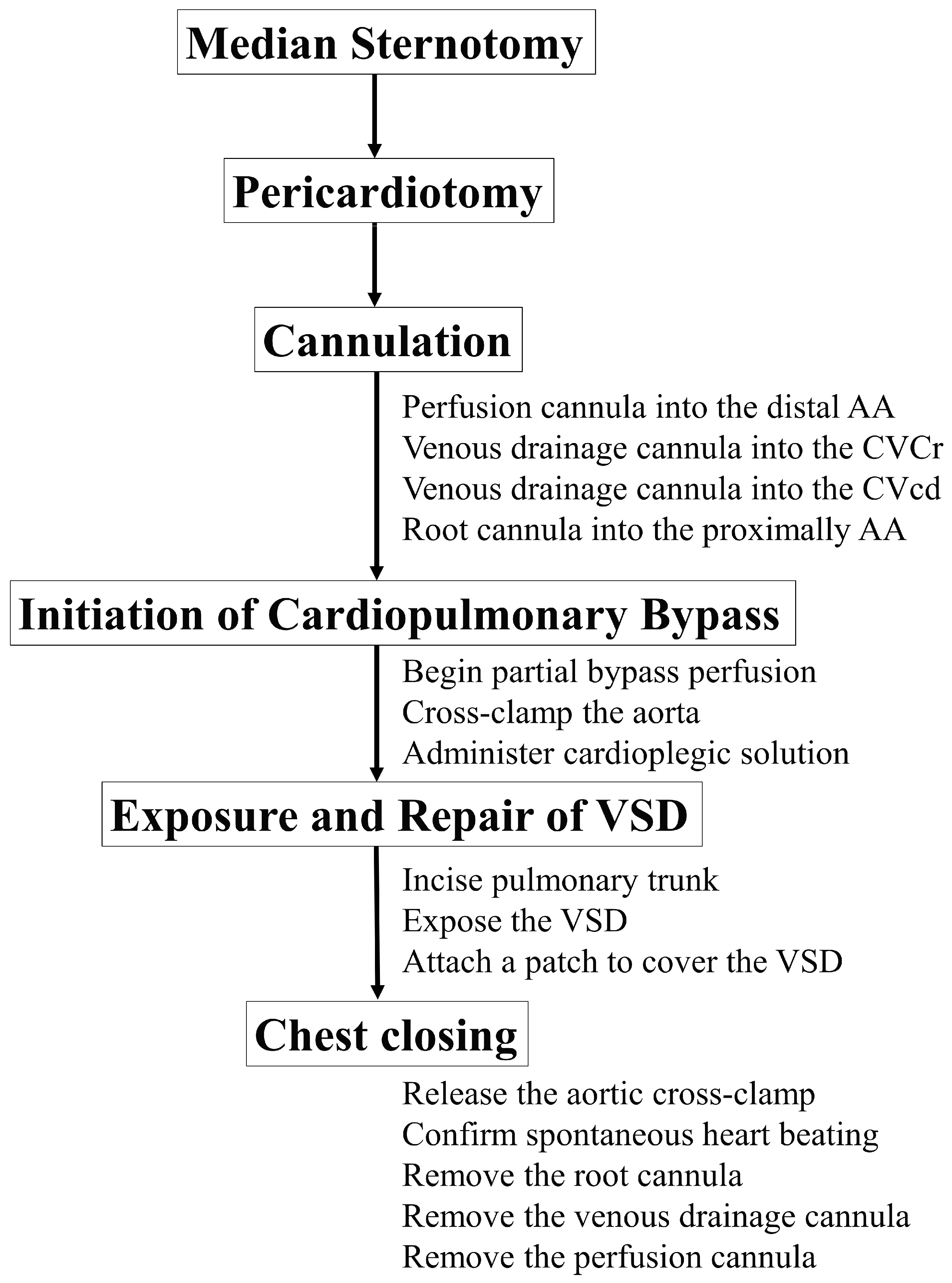 Animals 14 01736 g005