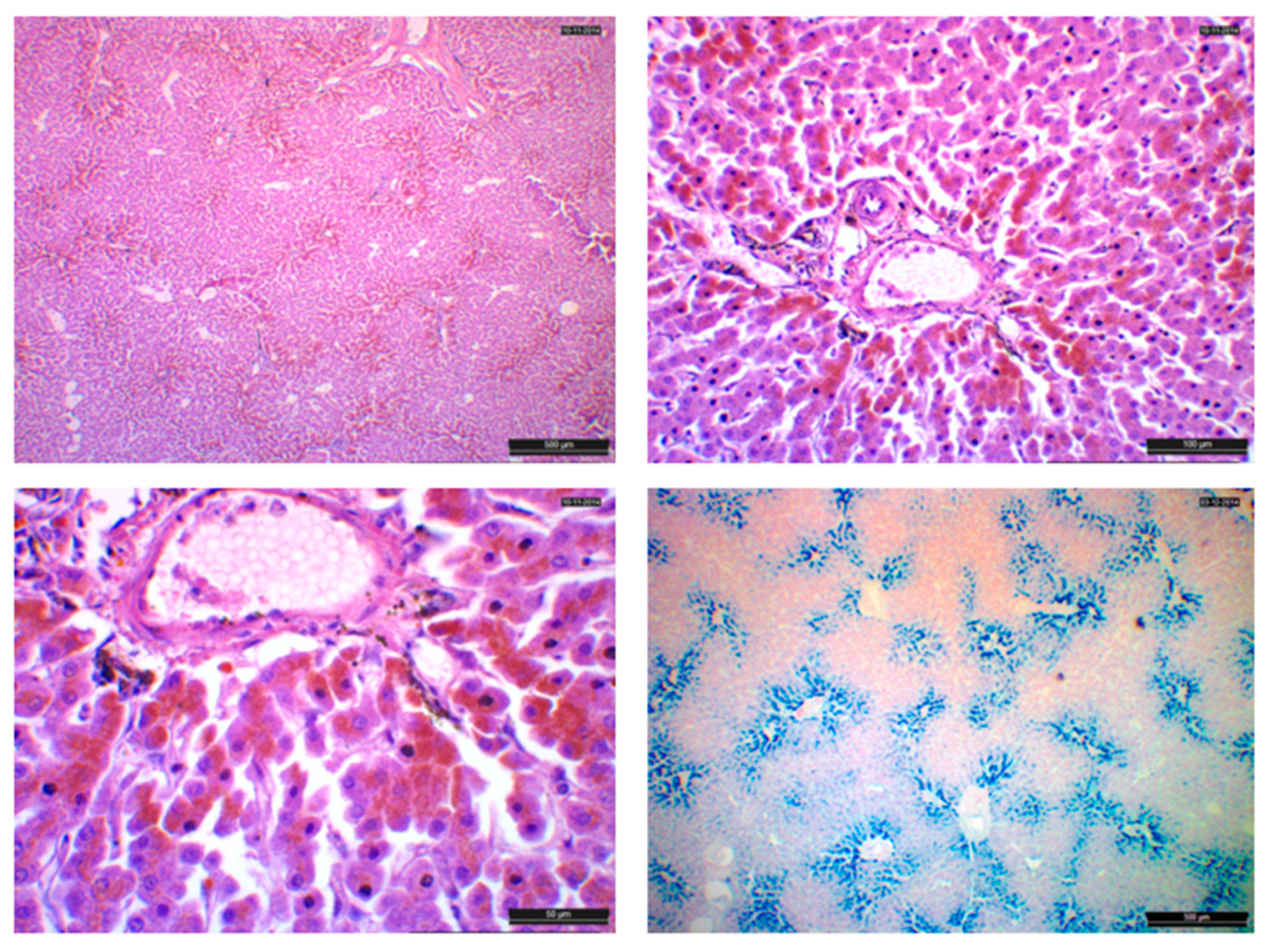 Animals 14 01739 g003 Animals 14 01739 g003